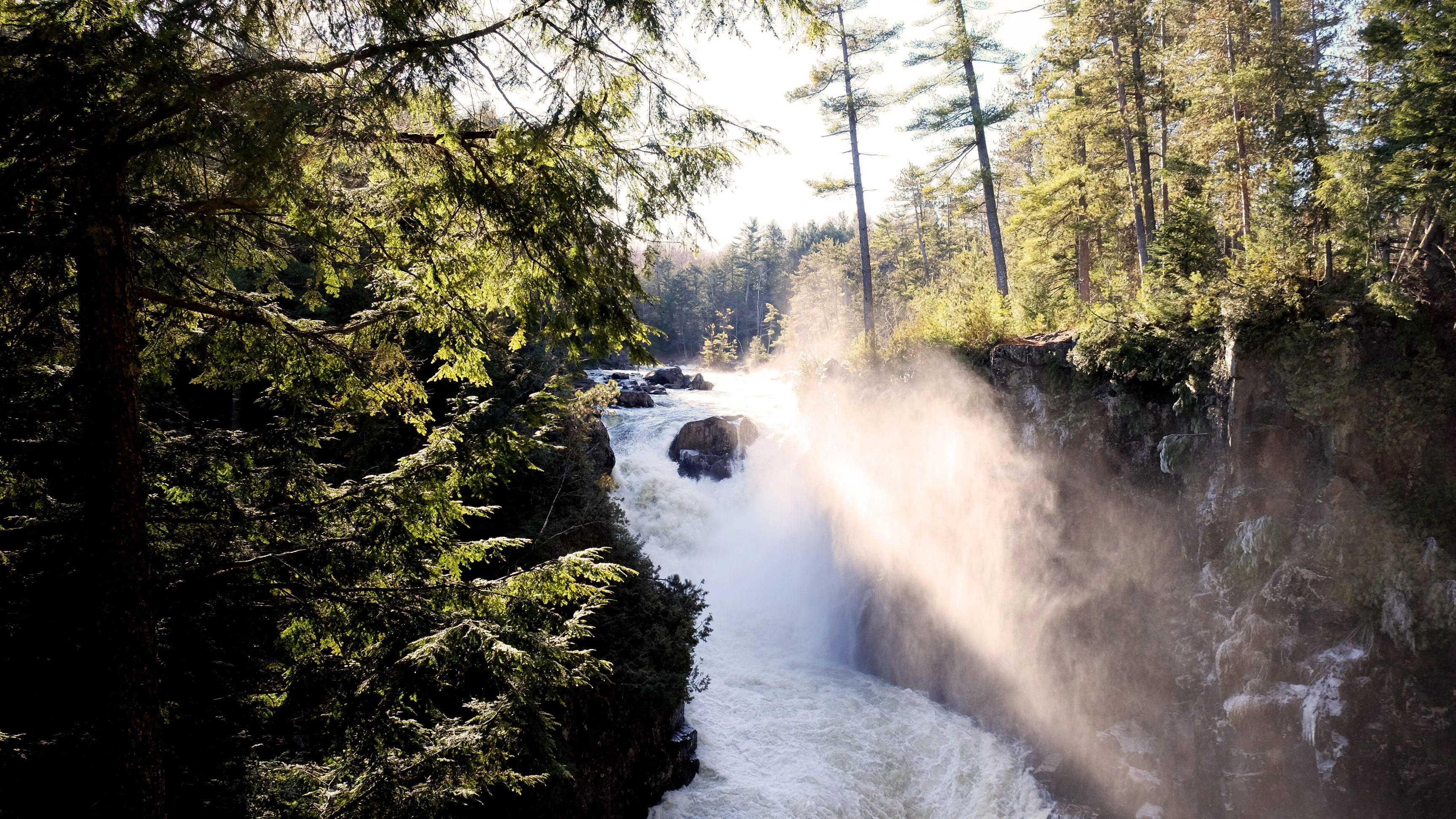 water, fall, waterfall, river, stream, forest, jungle, tree