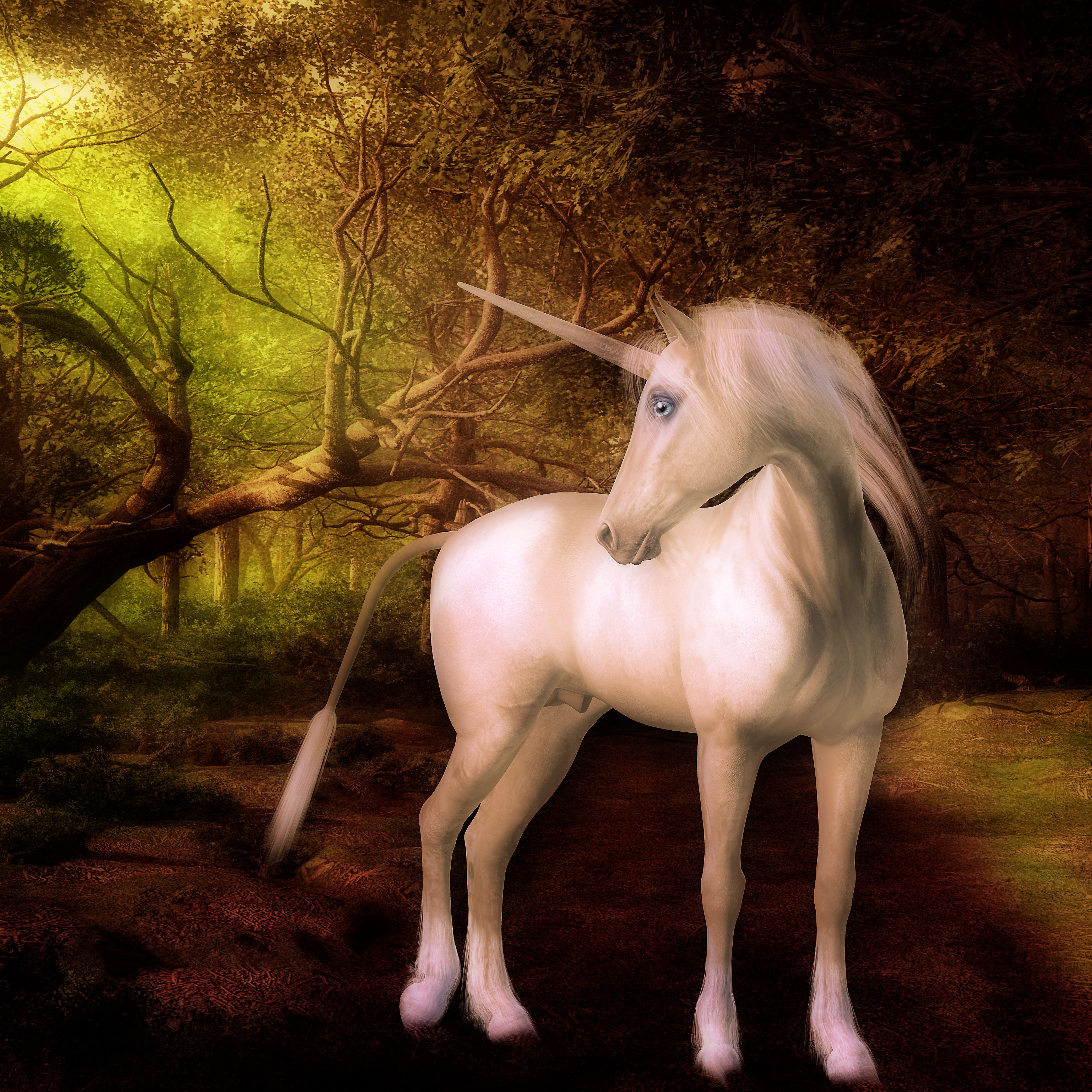 unicorn, fantasy, creatures, mane, white, horn, toon, cute