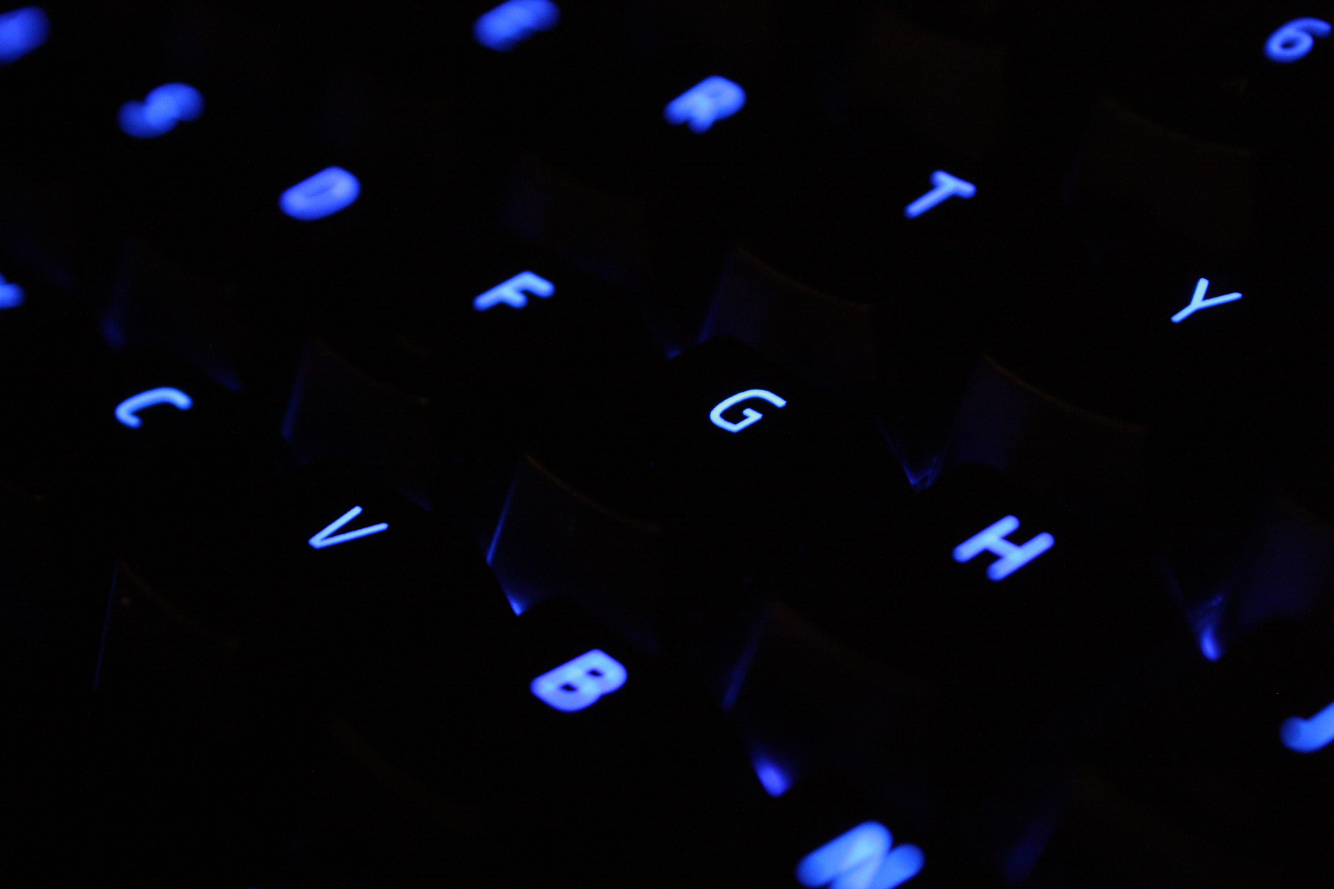 Close Up Shot of Black Computer Keyboard, backlight, blackwidow