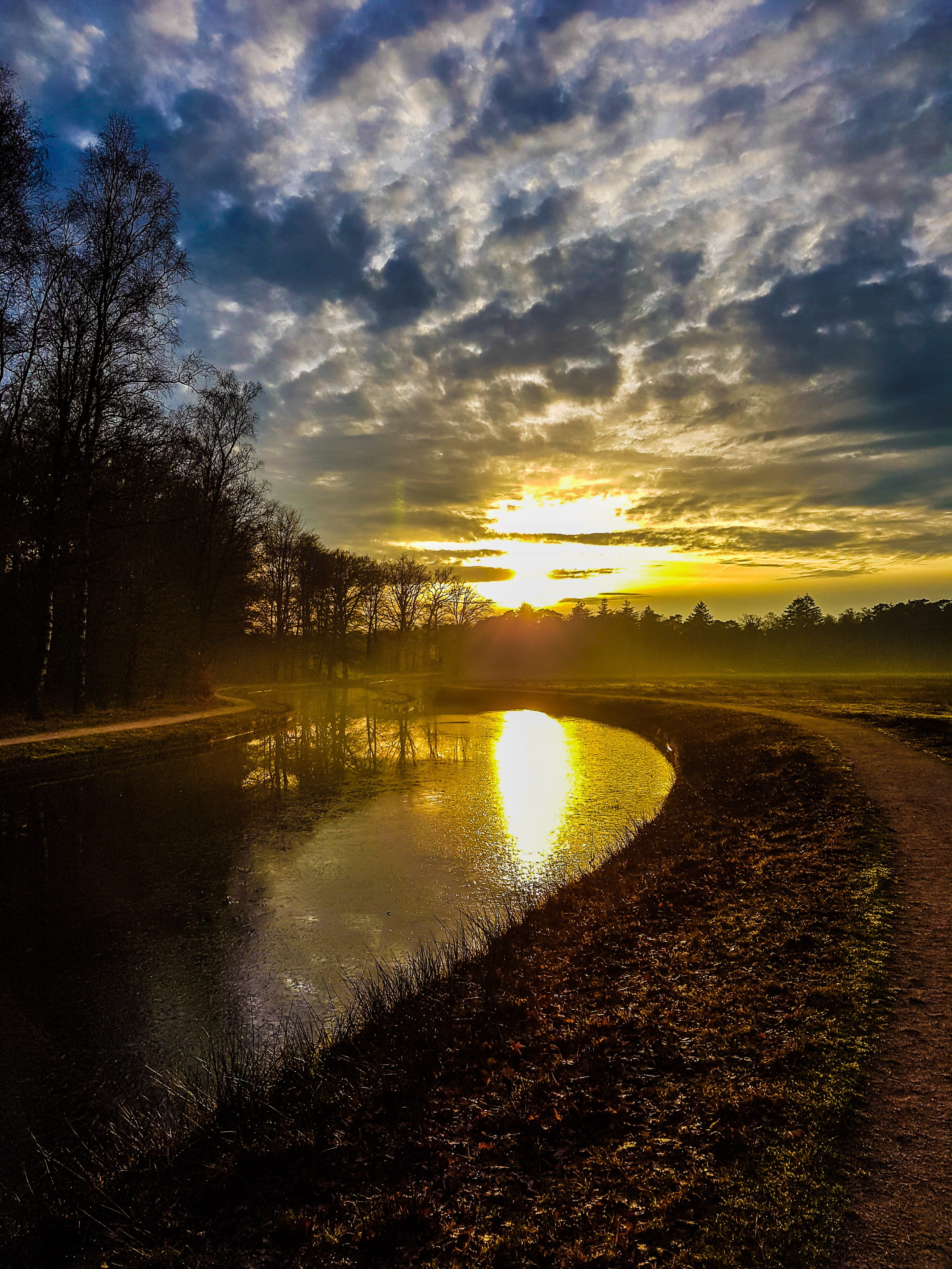 landscape, sun, sunset, nature, sky, clouds, blue, forest, trees