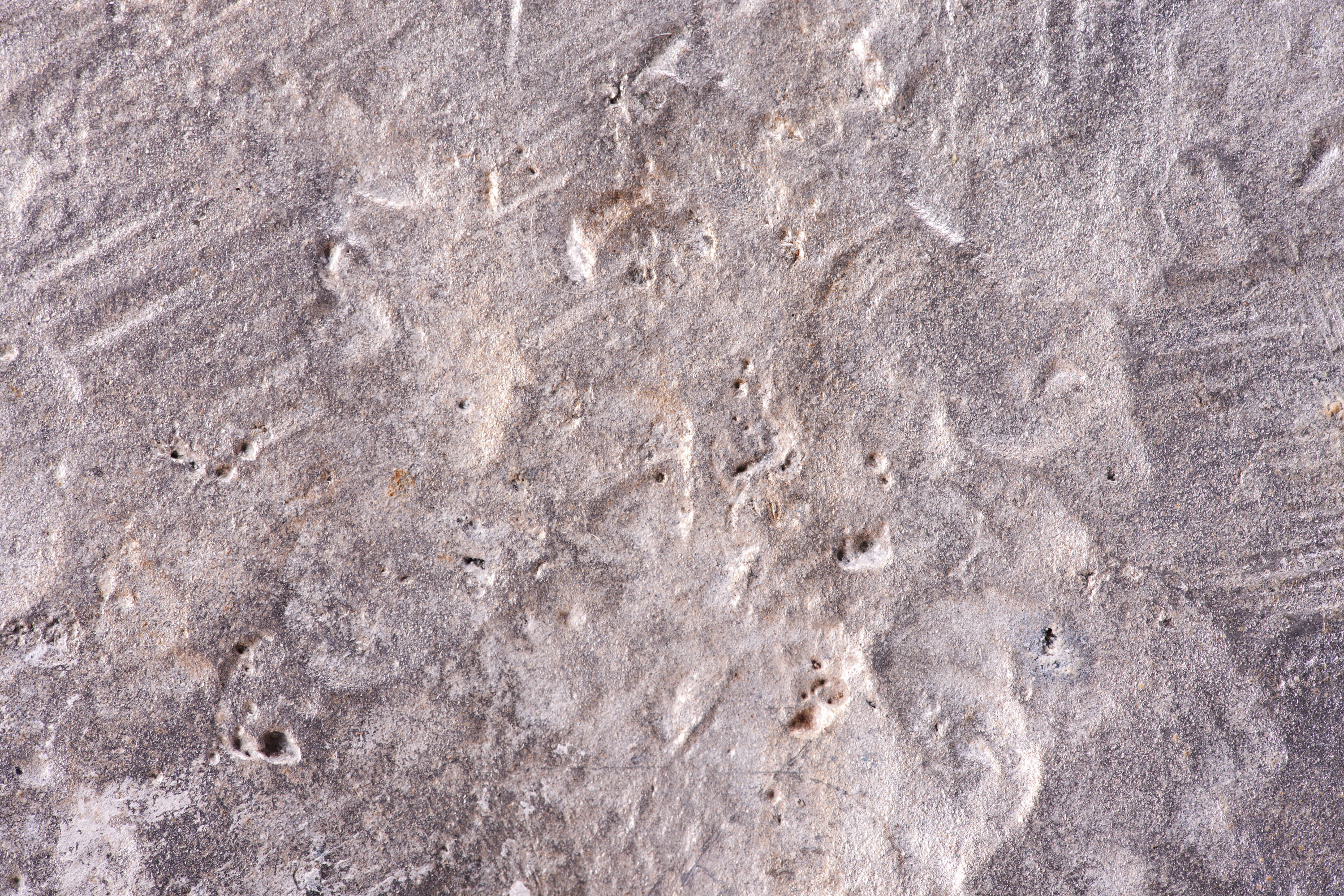 detail, lines, surface, pattern, timber, stone, background