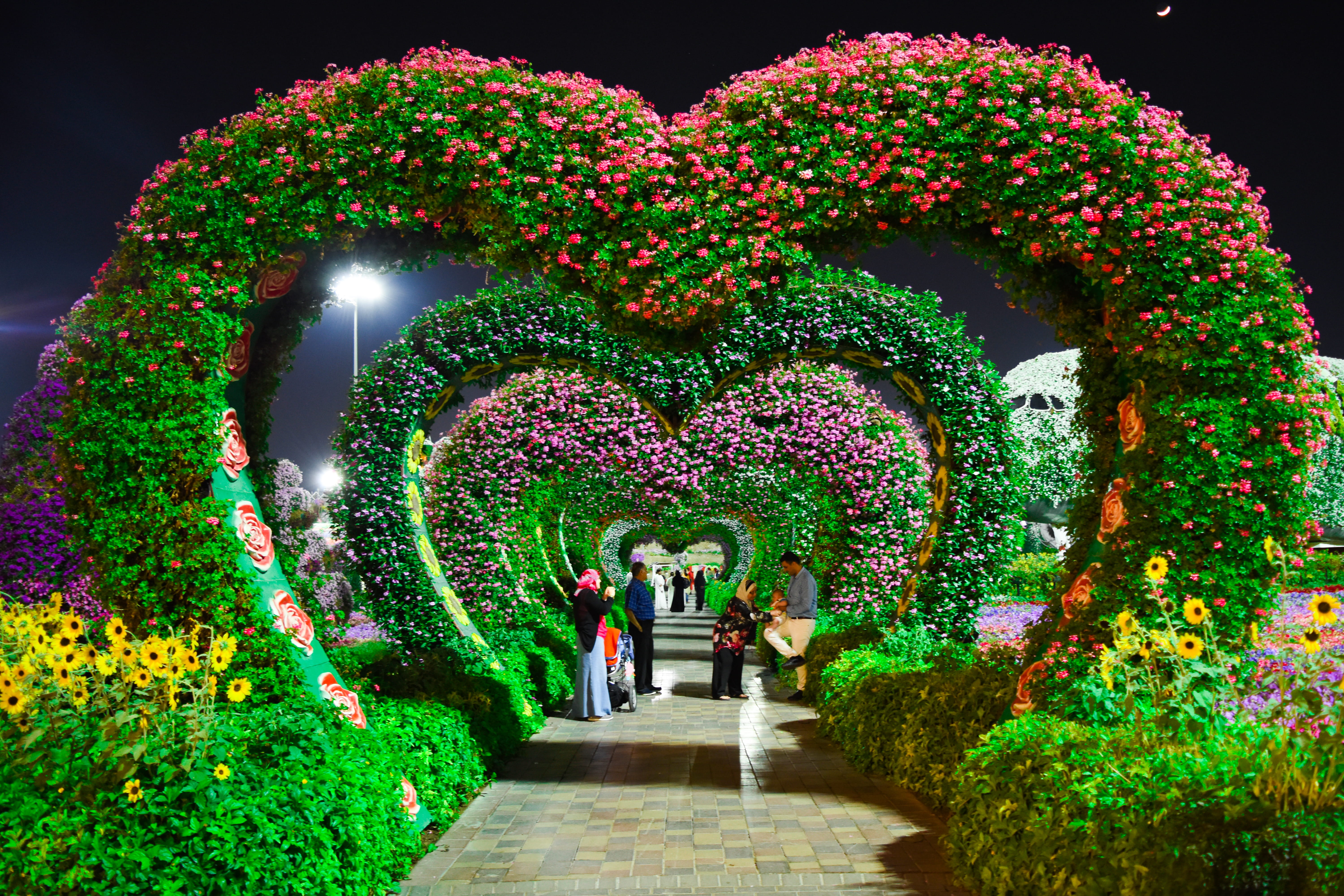 Heart-shaped Pink and Purple Flower Garden, architecture, decoration