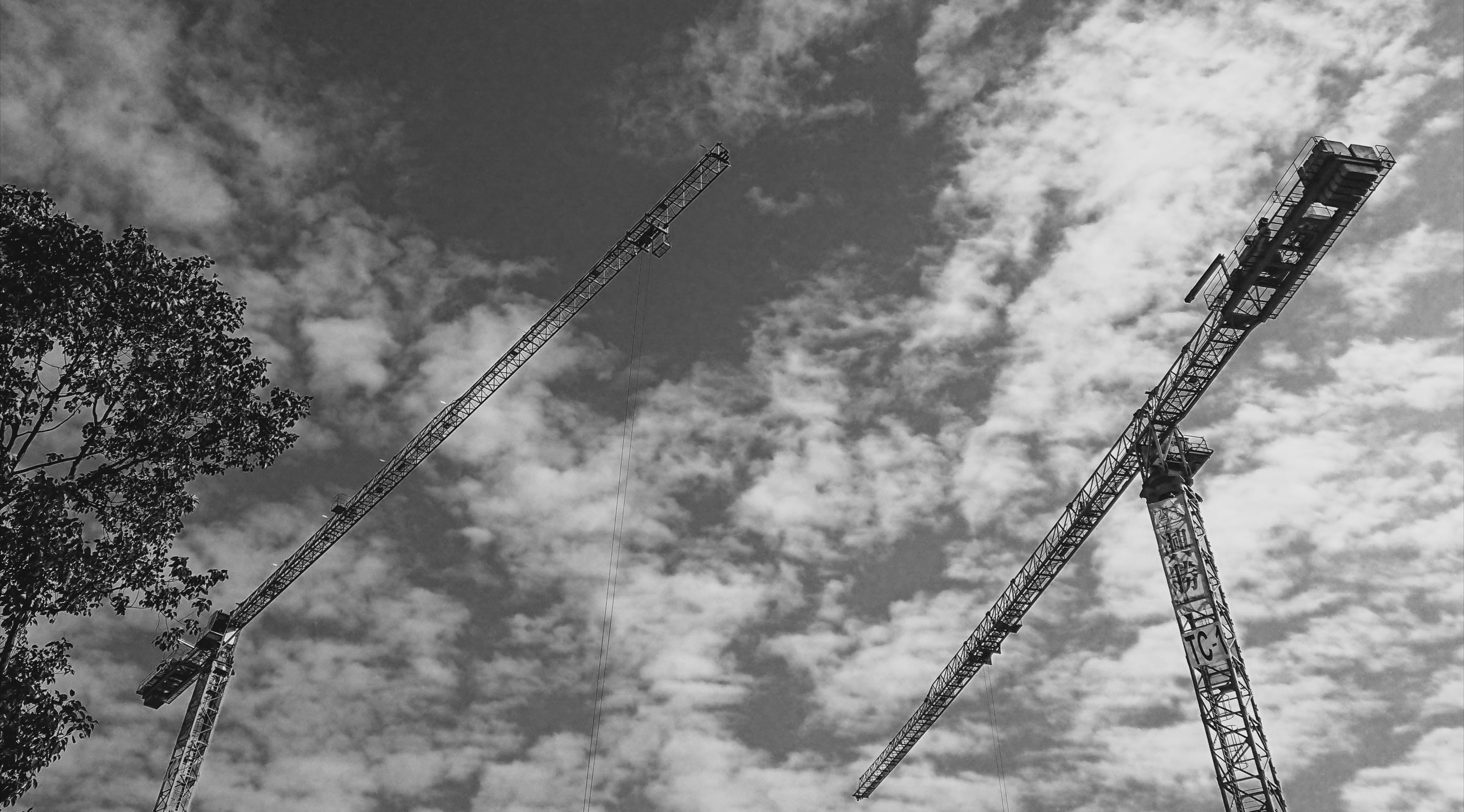 Trees, Cranes, Architecture, Sky, Black and white, Wallpapers
