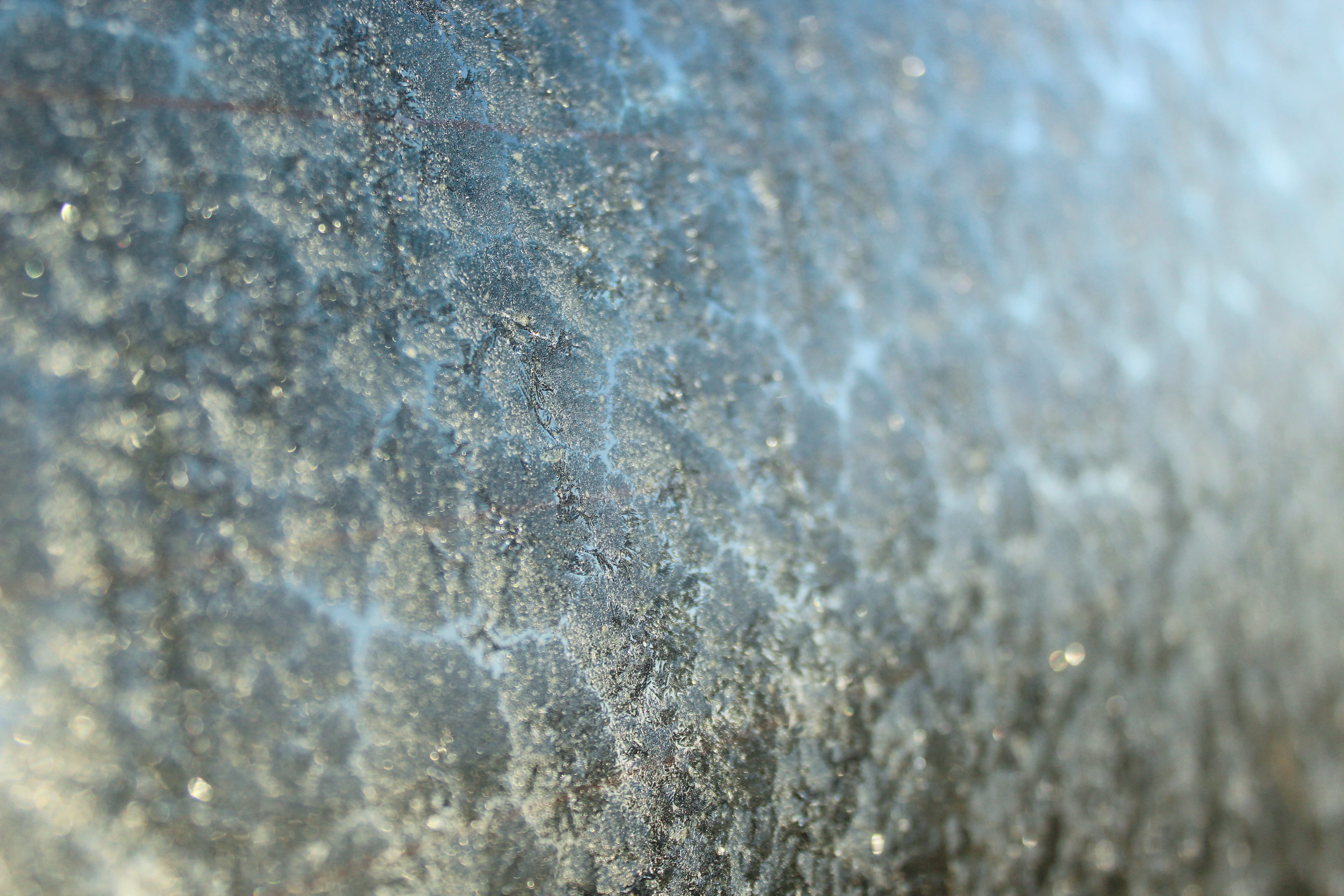frost, ice, winter, aqua, full frame, backgrounds, textured
