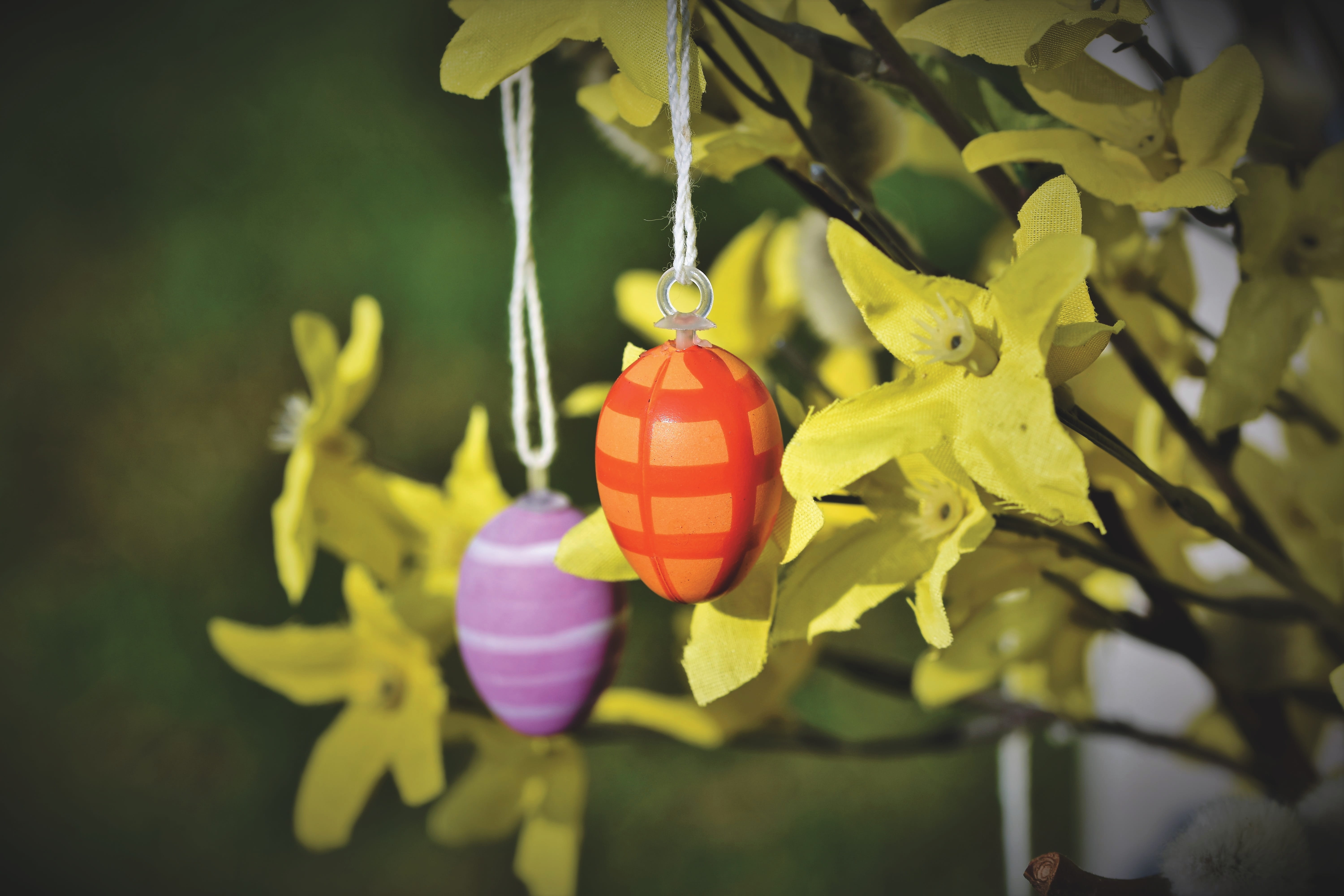 easter egg, colorful, easter decorations, easter theme, colored