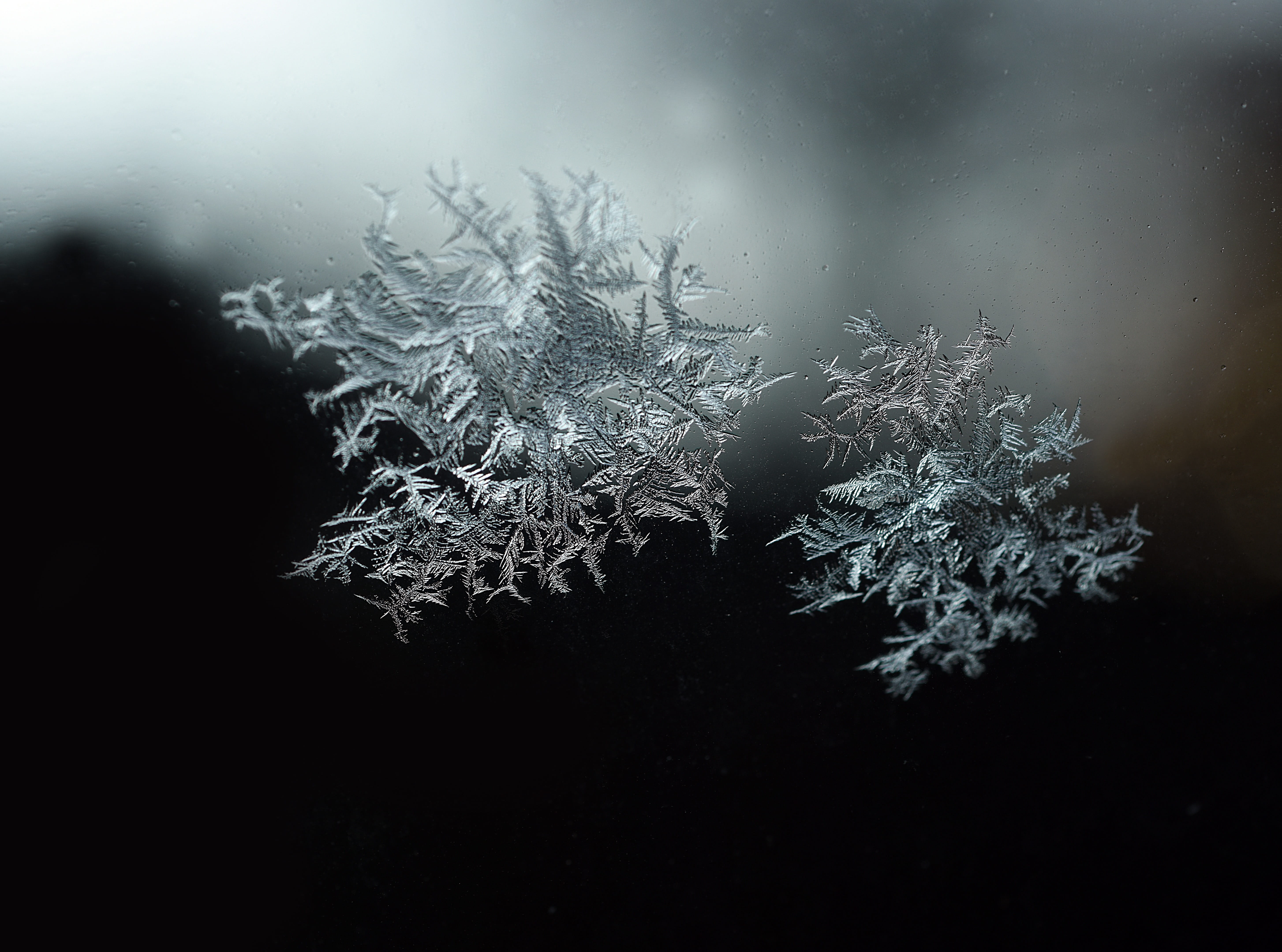 crystal, ice, flake, snow, cold, crystals, gel, nature, frost