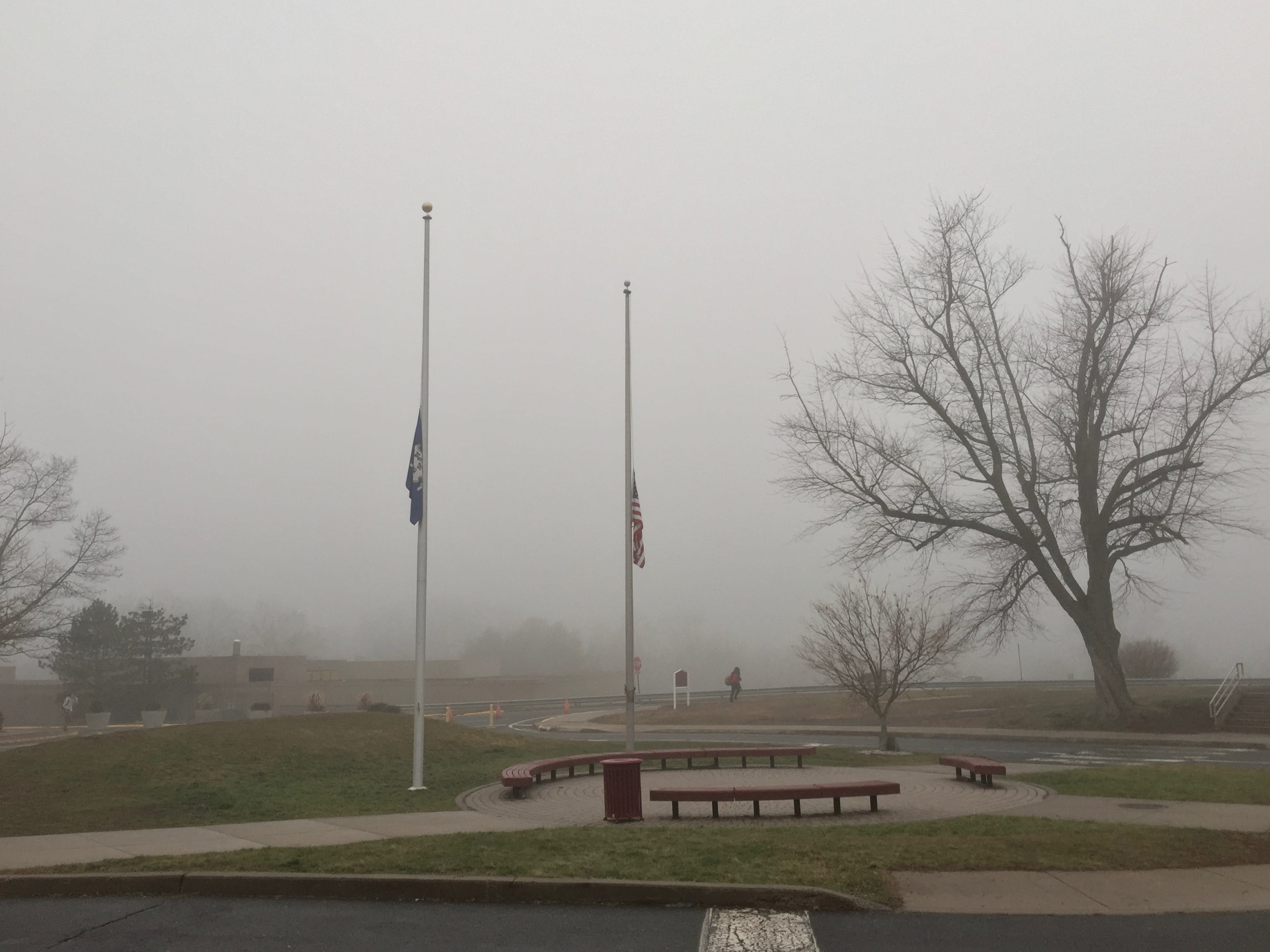 fog, clouds, cloudy, flagpole, flags, tree, trees, grey, gray