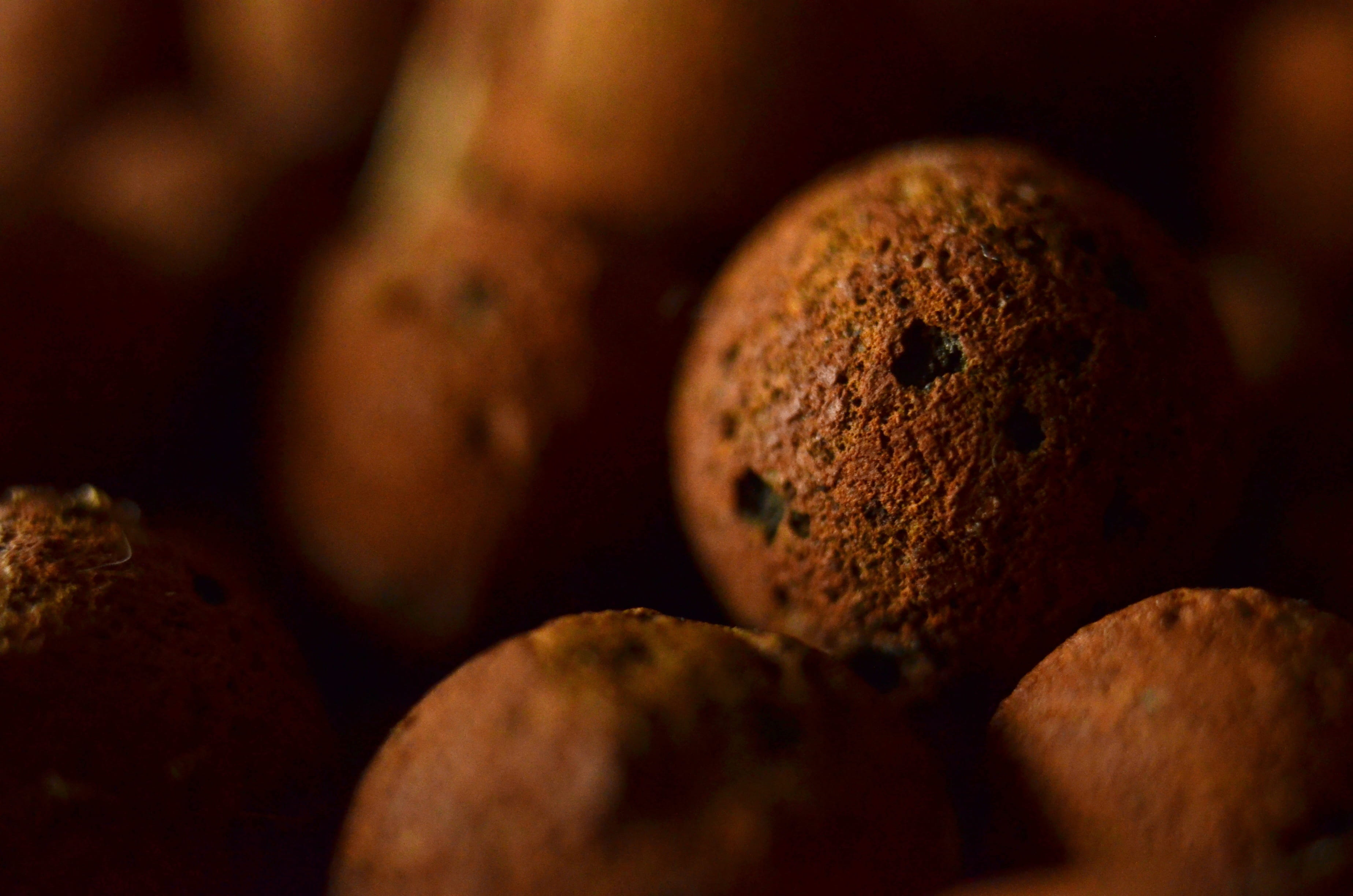 macro, micro, detail, sphere, round, sharp, in focus, brown