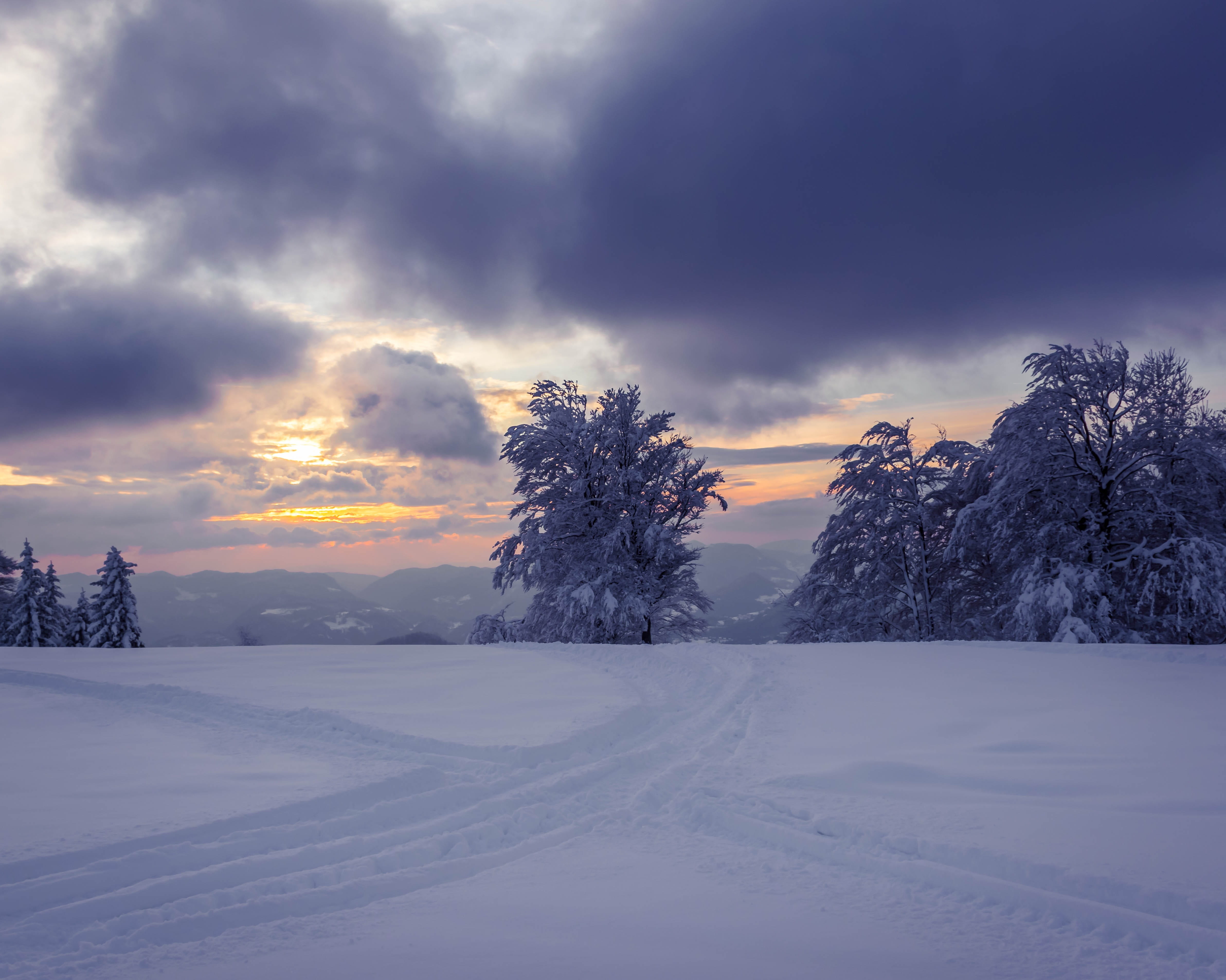 tree, sunset, pastel, snow, winter, evening, sky, clouds, mountains