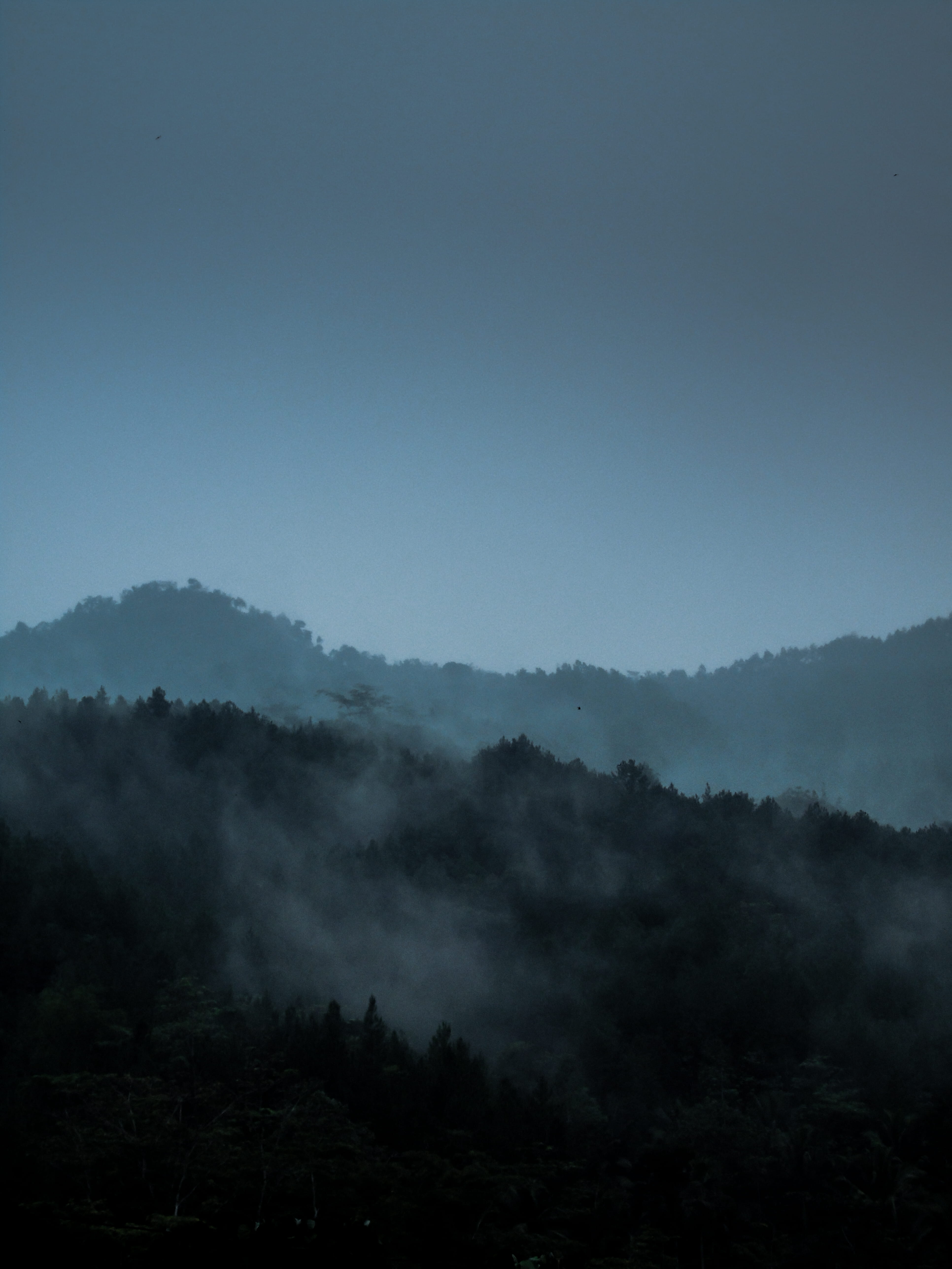 Free download | HD wallpaper: landscape photography of foggy mountain ...