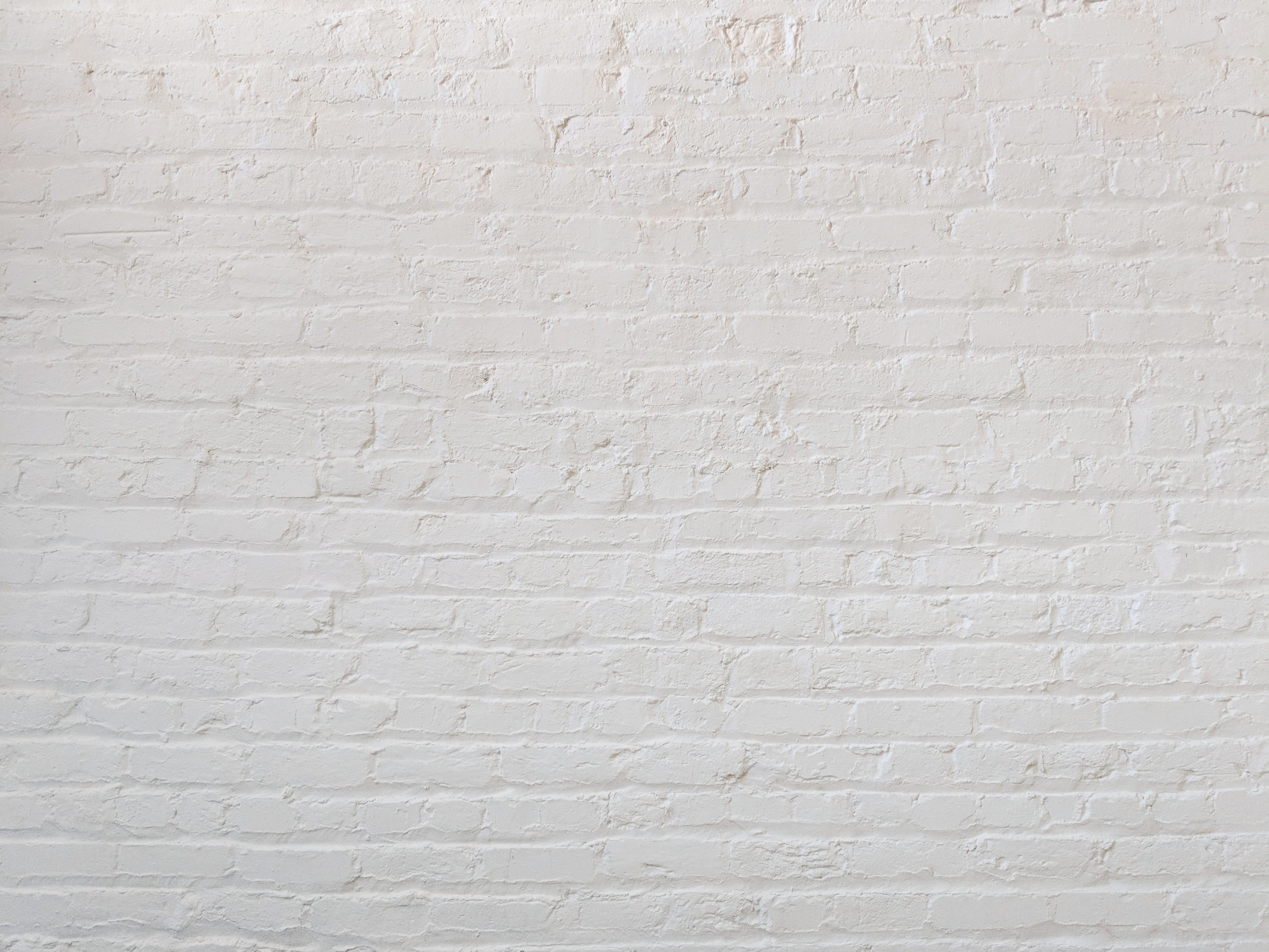 white brick wall, texture, surface, minimal, white space, empty