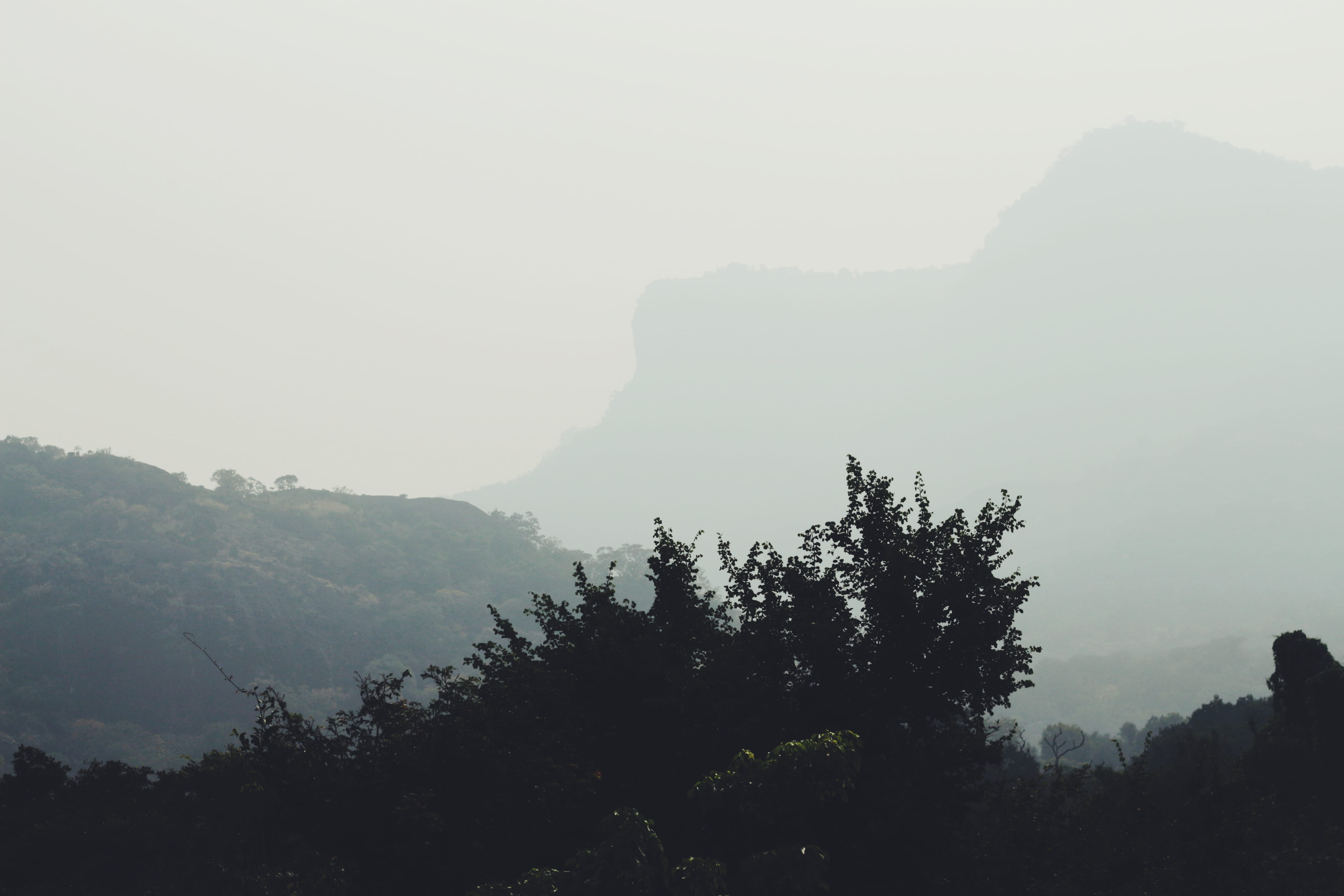 india, valparai, nature, mountains, hills, greenery, landscape