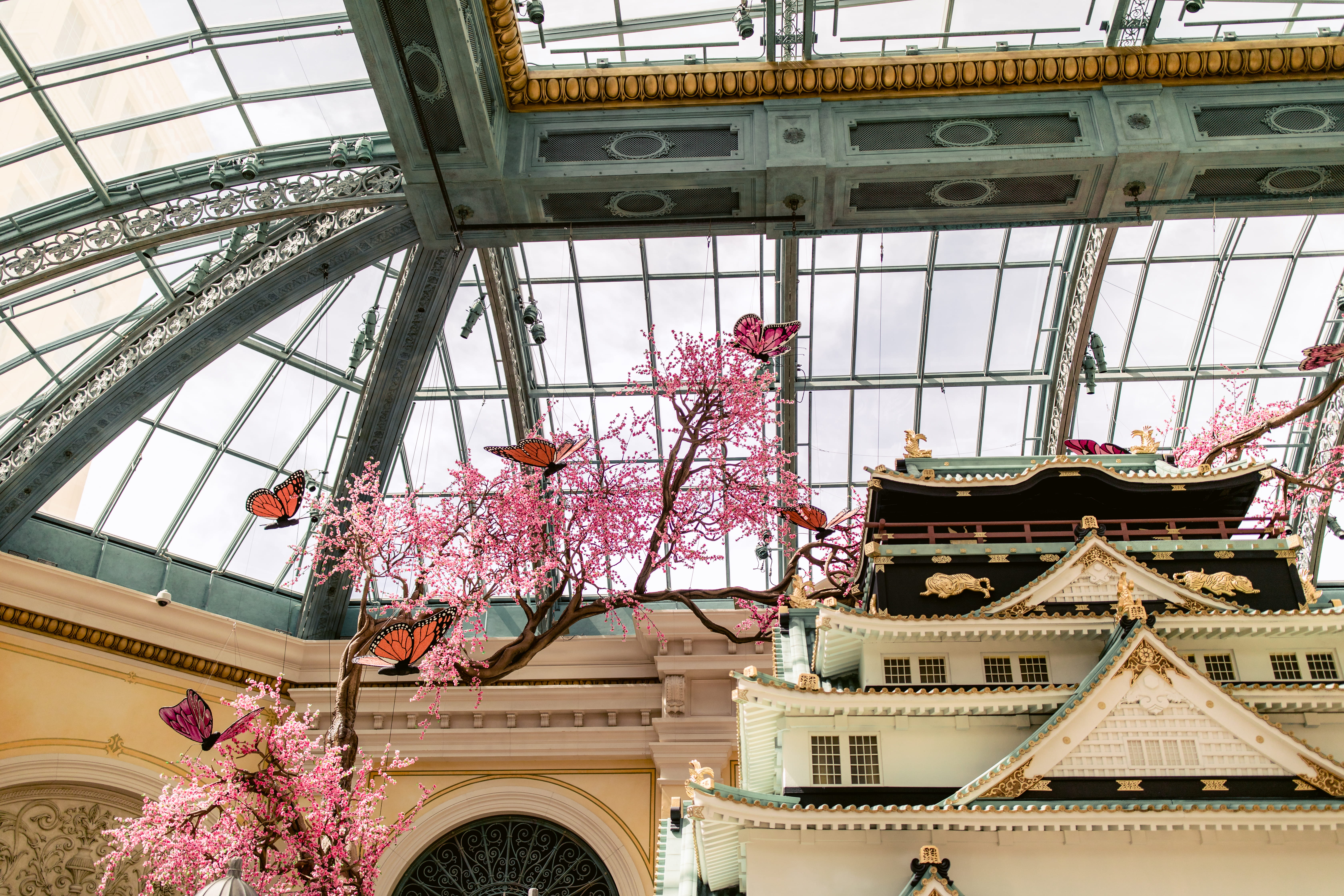 cherry blossom tree, architecture, built structure, plant, low angle view
