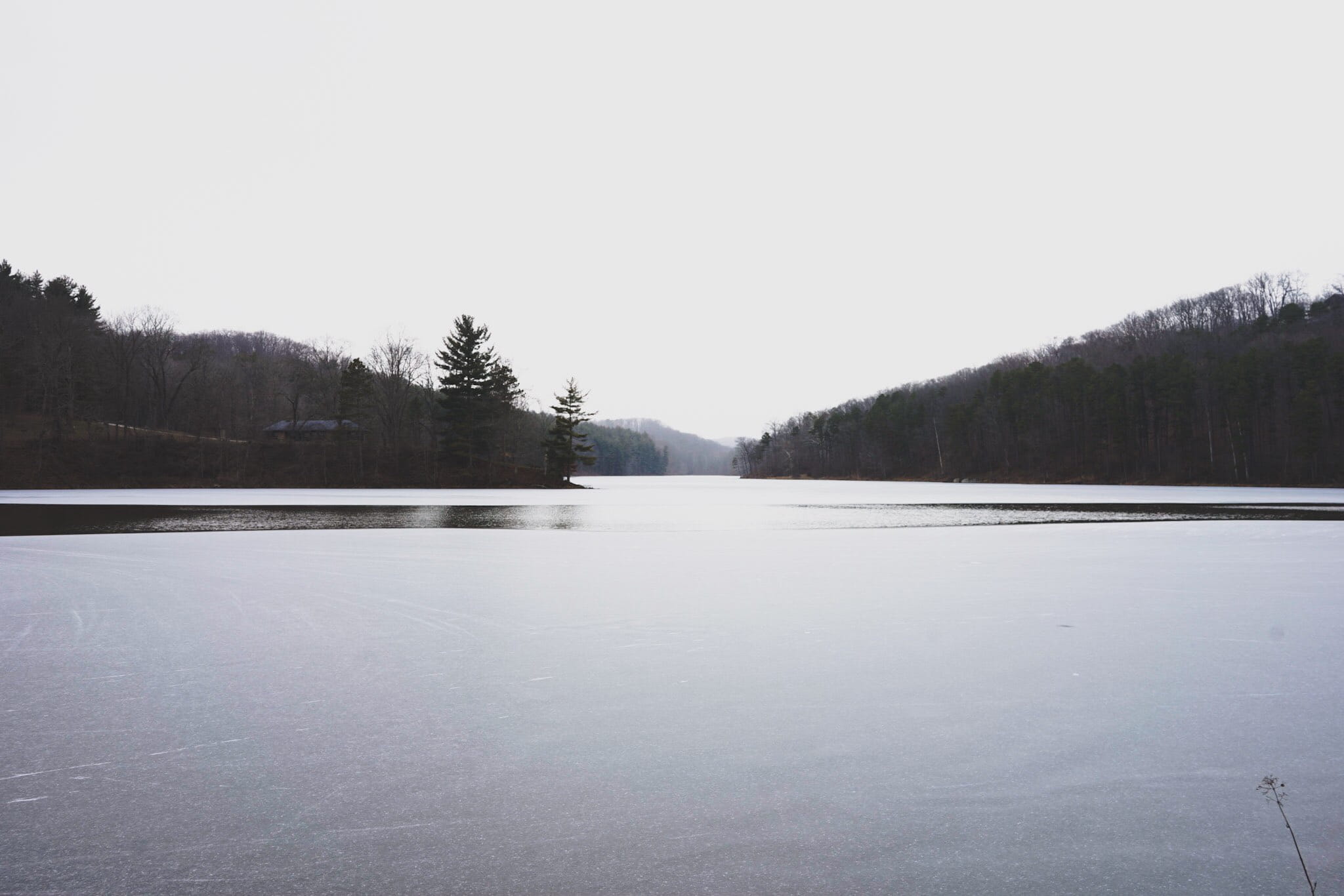 lake, trees, forest, sony, cold temperature, water, tranquility