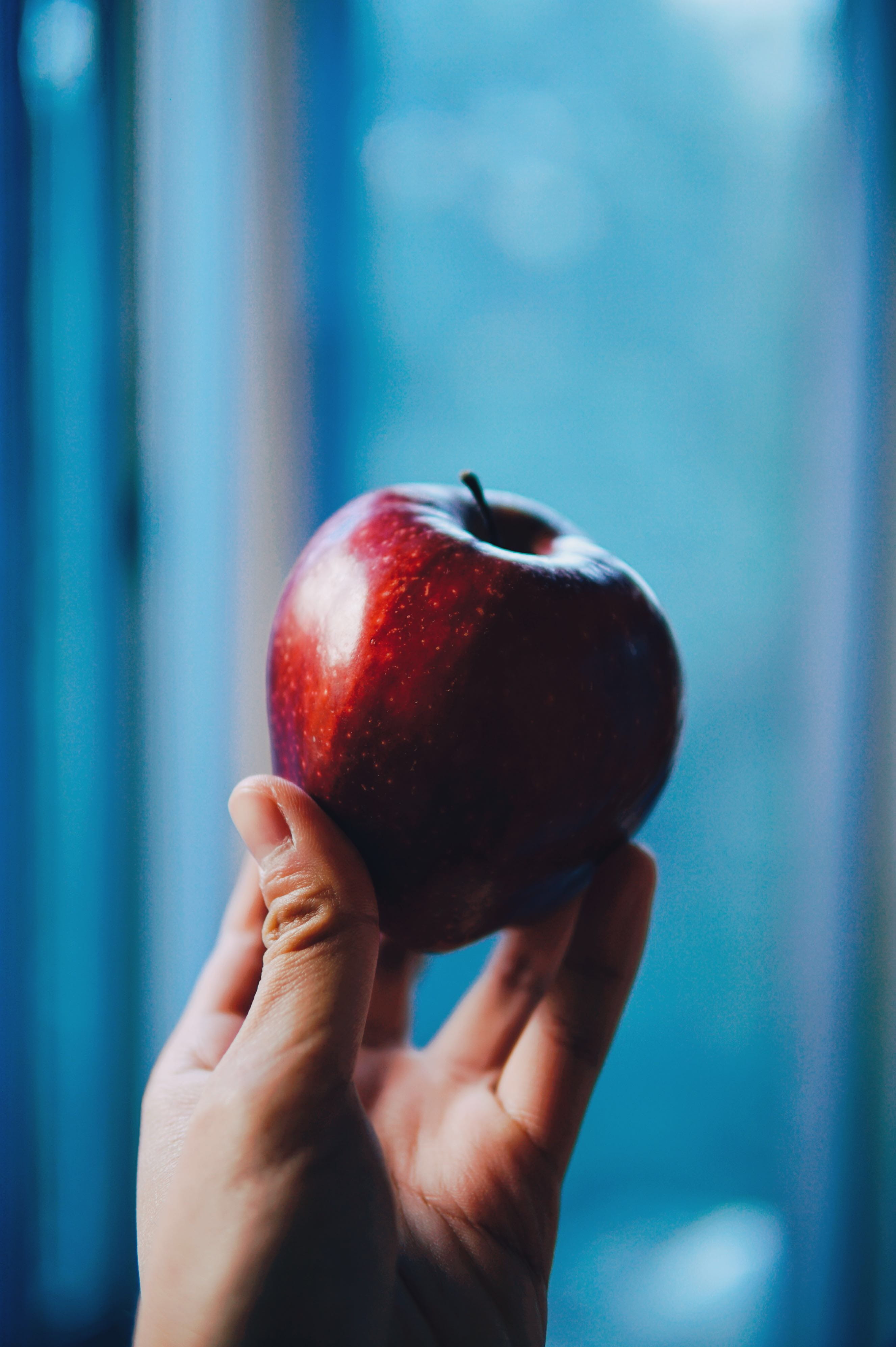 person holding red apple, food and drink, human hand, human body part