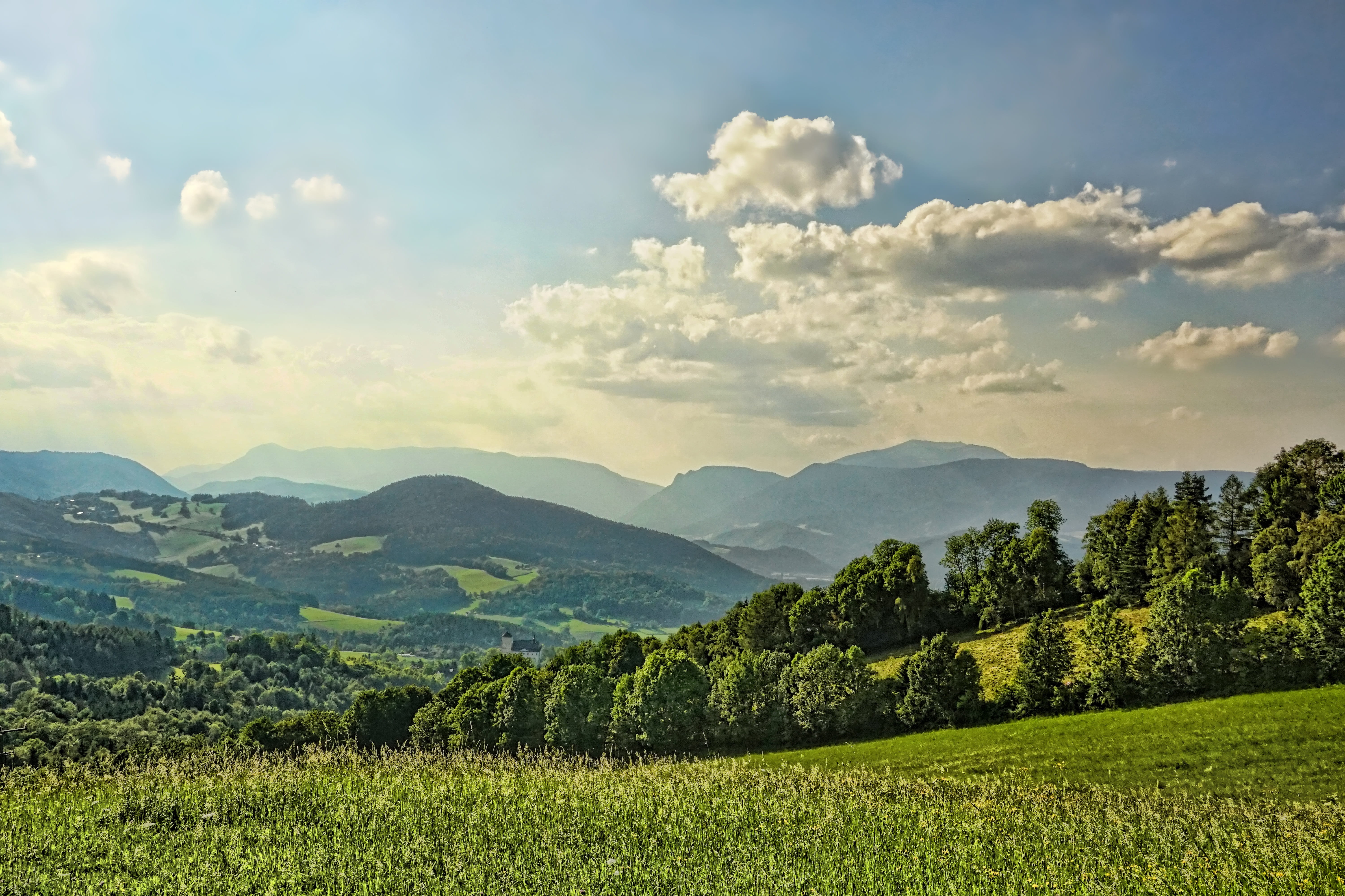 nature, landscape, grass, fields, summer, hill, view, panorama