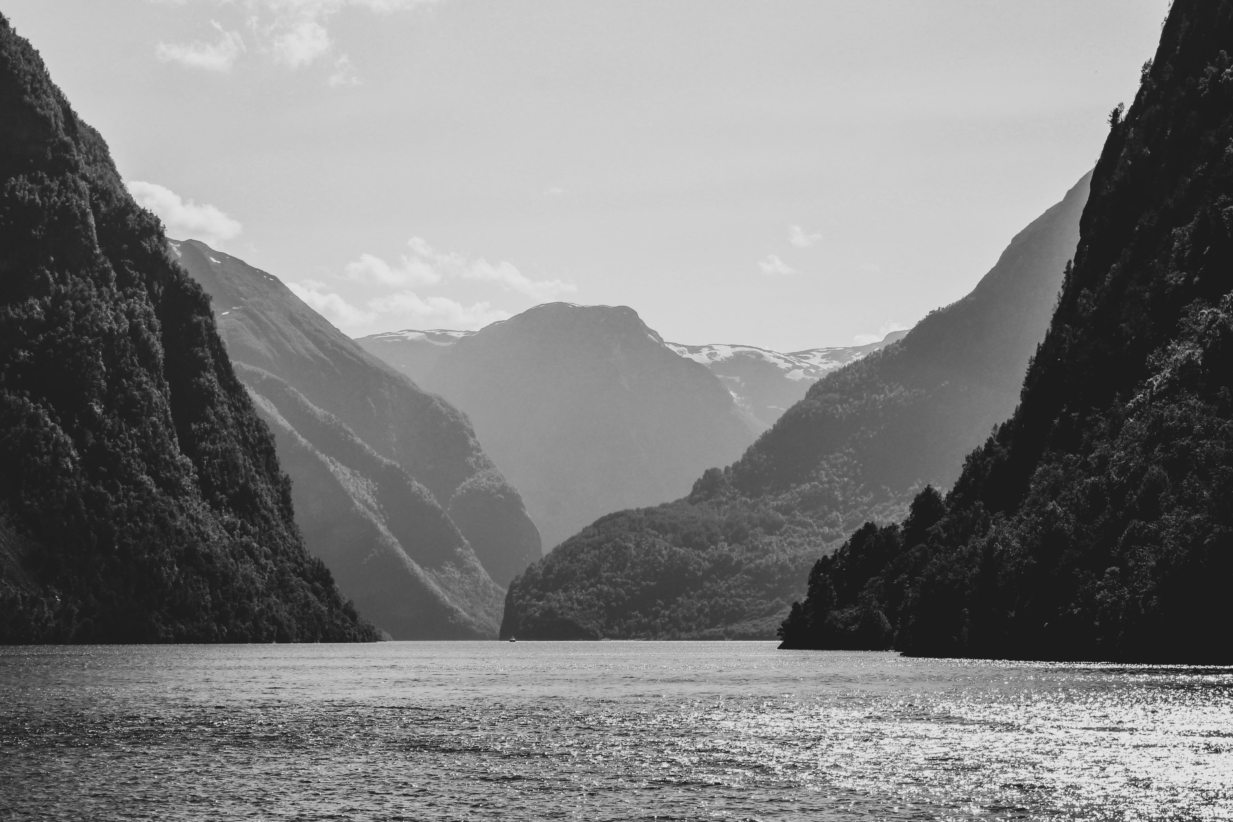 norway, black and white, landscape, trees, hills, fjord, layers