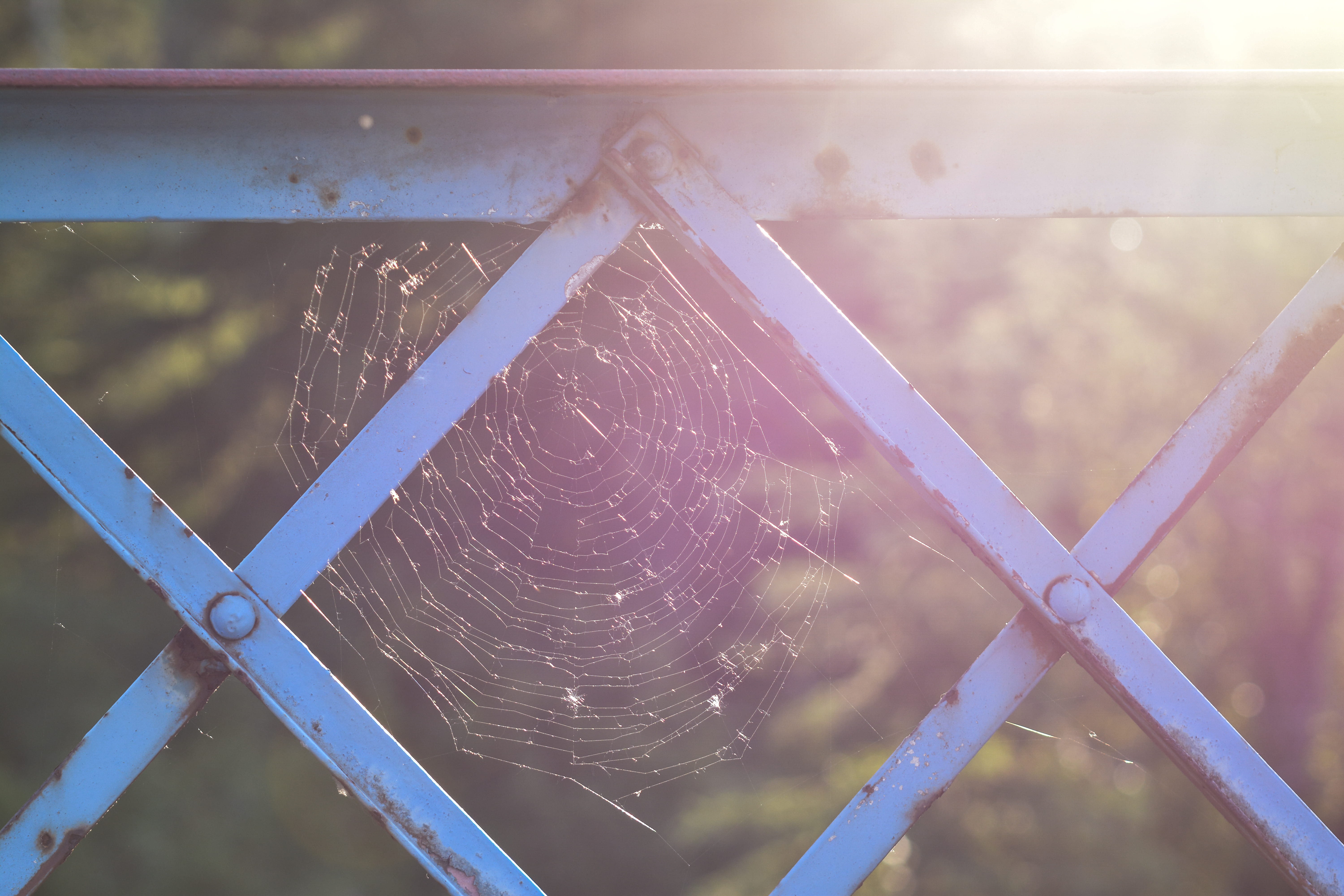 frame, web, bridge, spider web, focus on foreground, metal