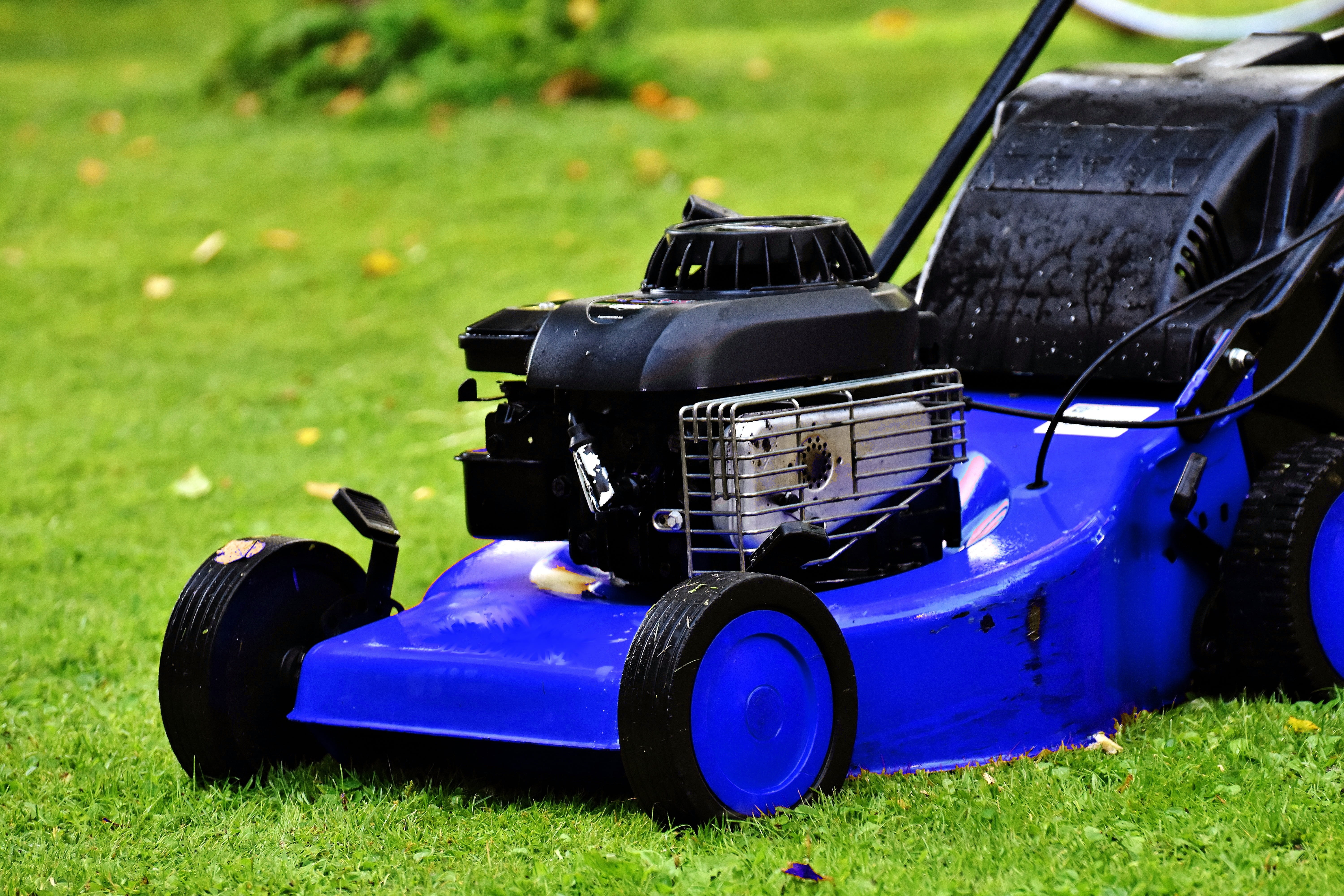 blue lawn mower, lawn mowing, landscaping, summer, nature, grass