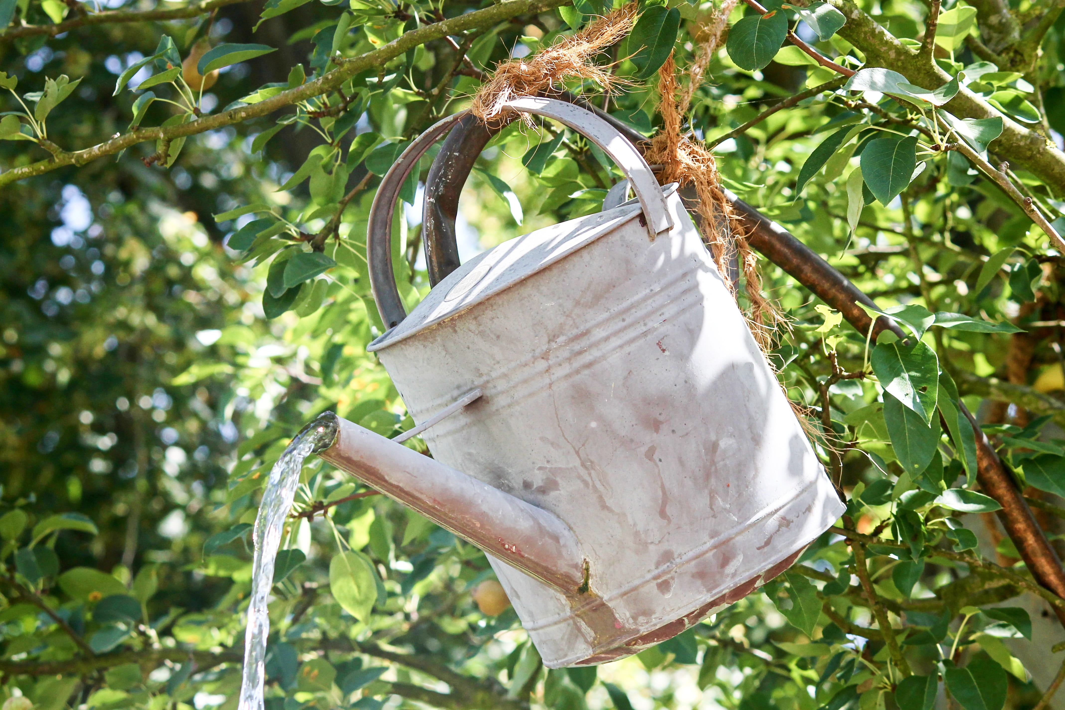 watering can, metal, water jet, gardening, vessel, casting