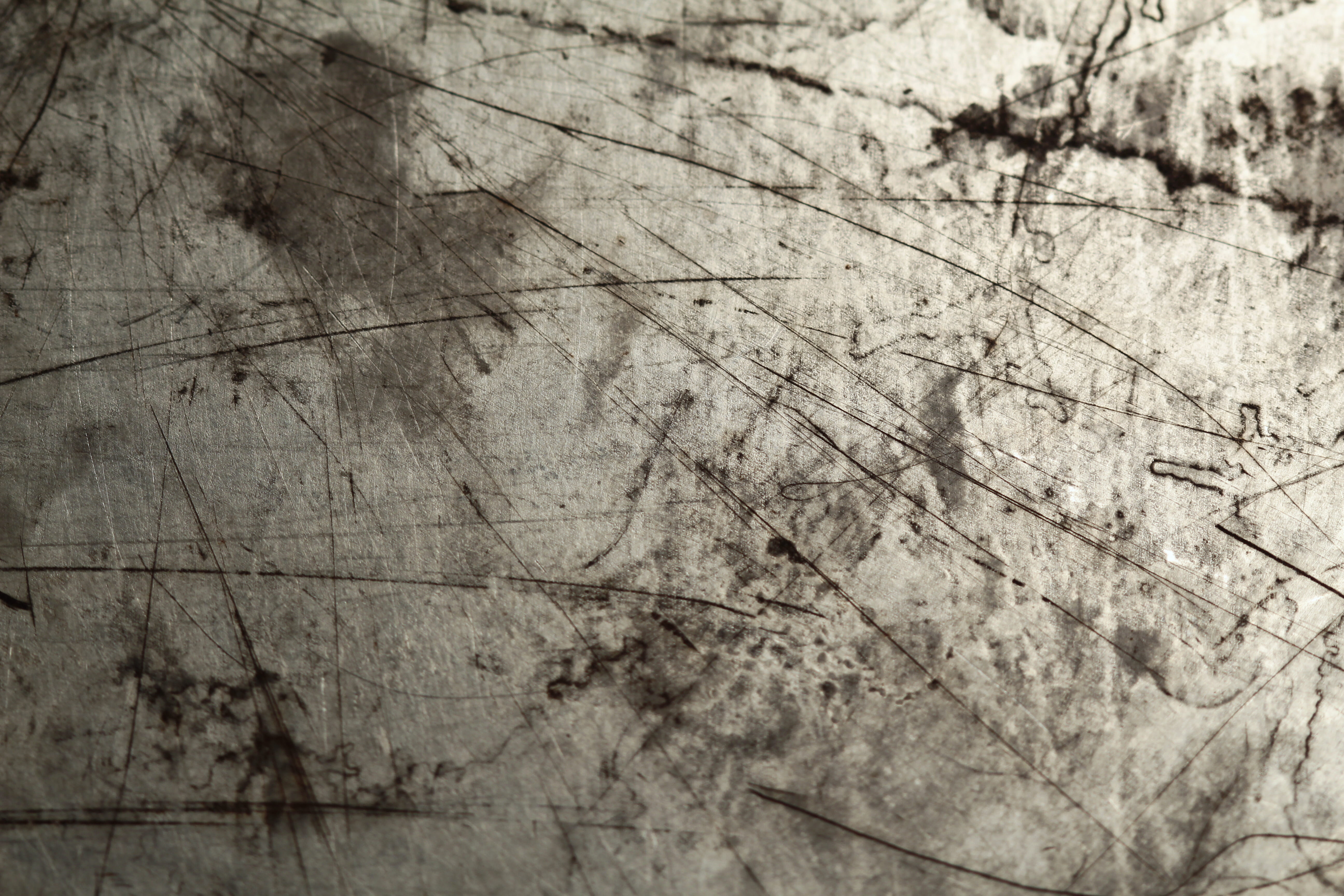 texture, plant, tree, abstraction, universe, macro, macrophoto