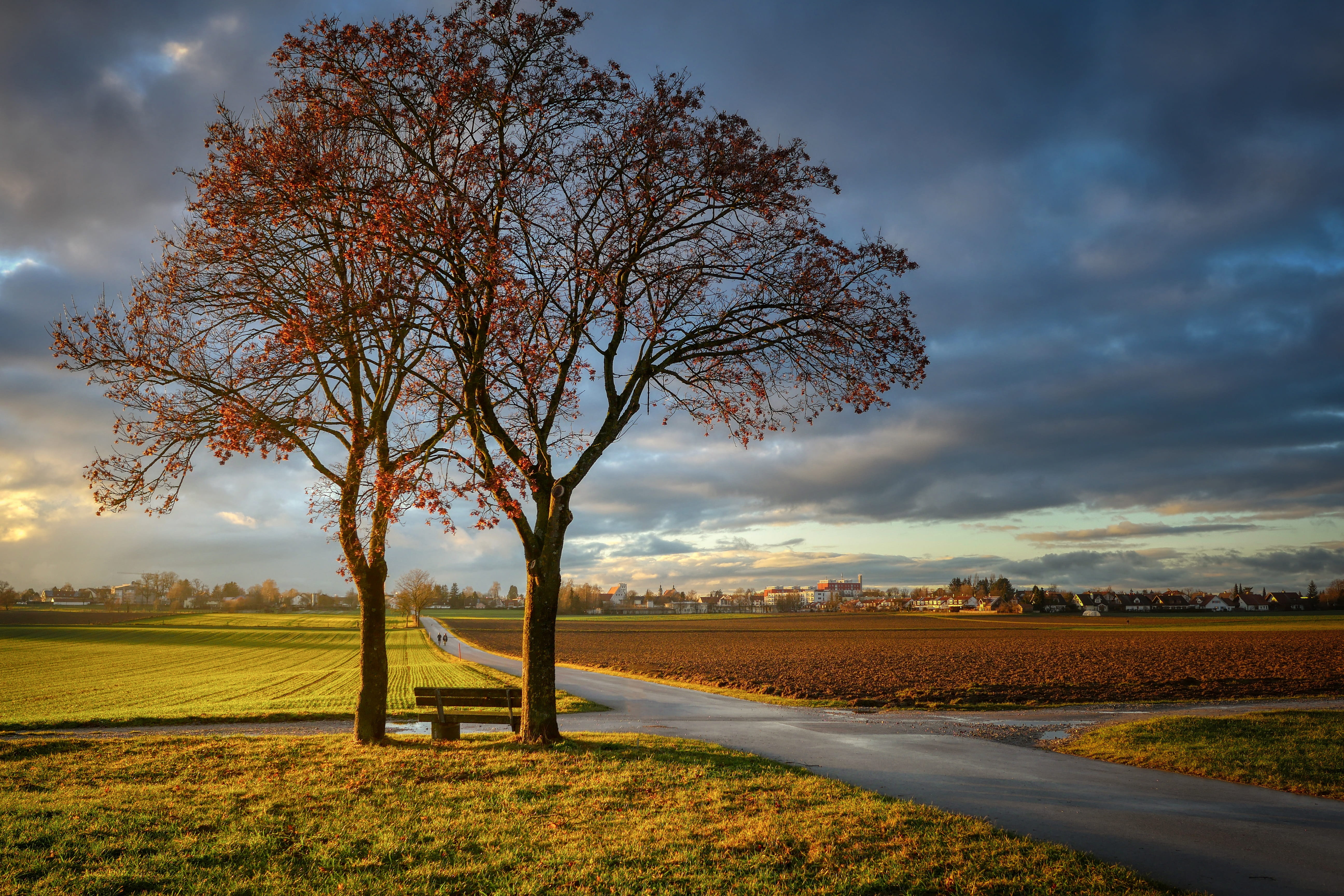rest, clouds, tree, bank, meadow, fields, away, abendstimmung