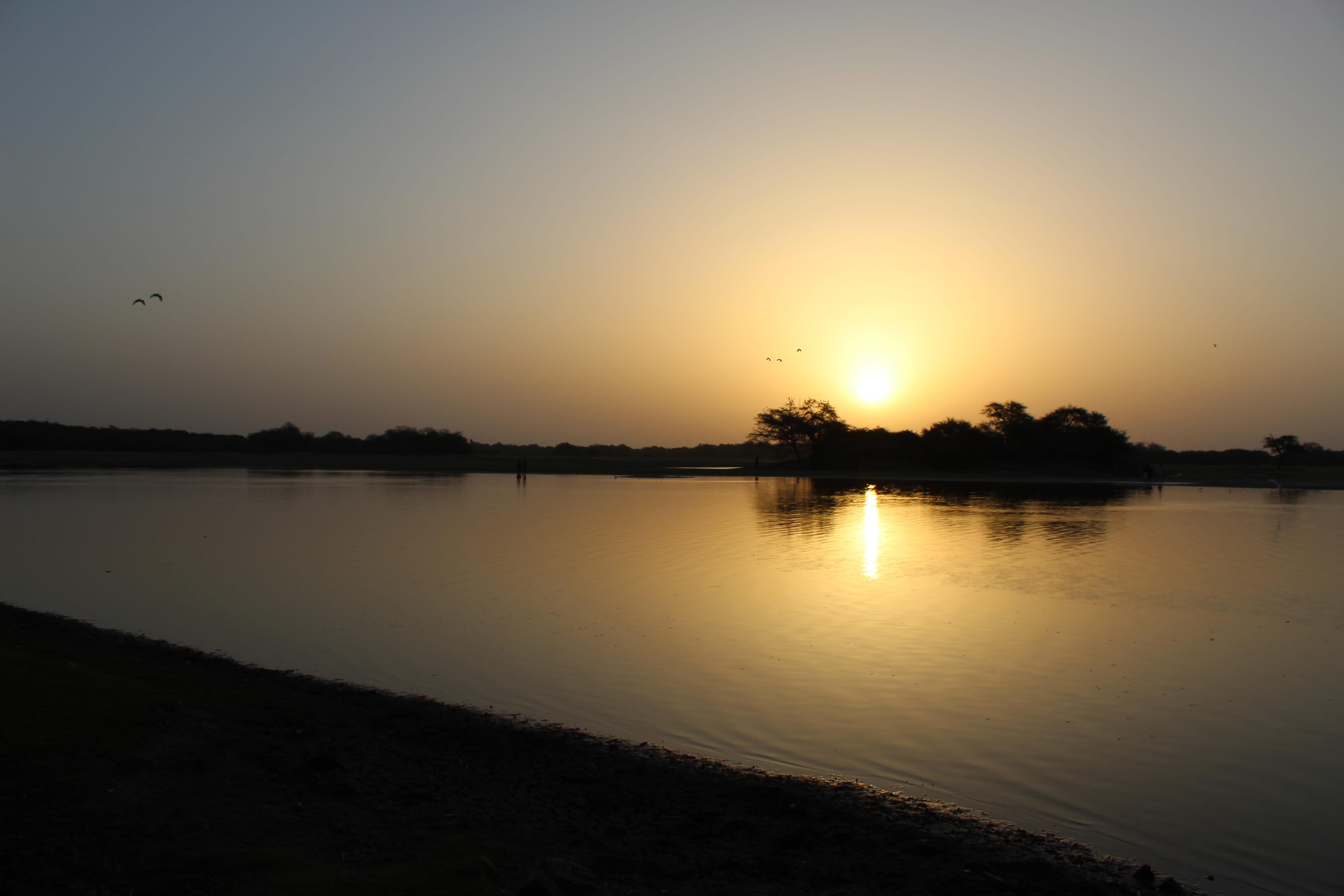 Free download | HD wallpaper: india, thol, thol bird sanctuary view ...