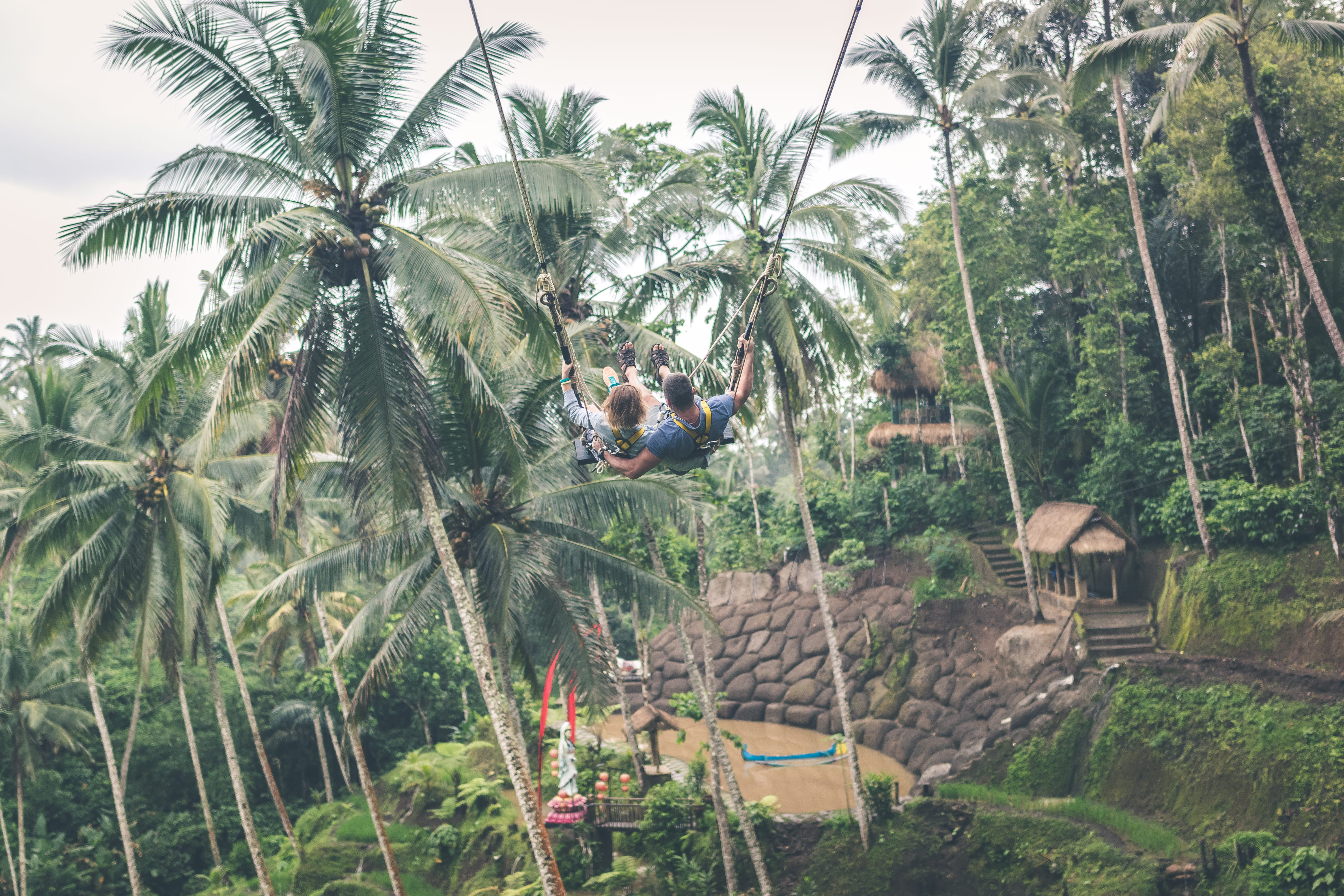 Green Palm Trees, background, clouds, coconut, coconut trees