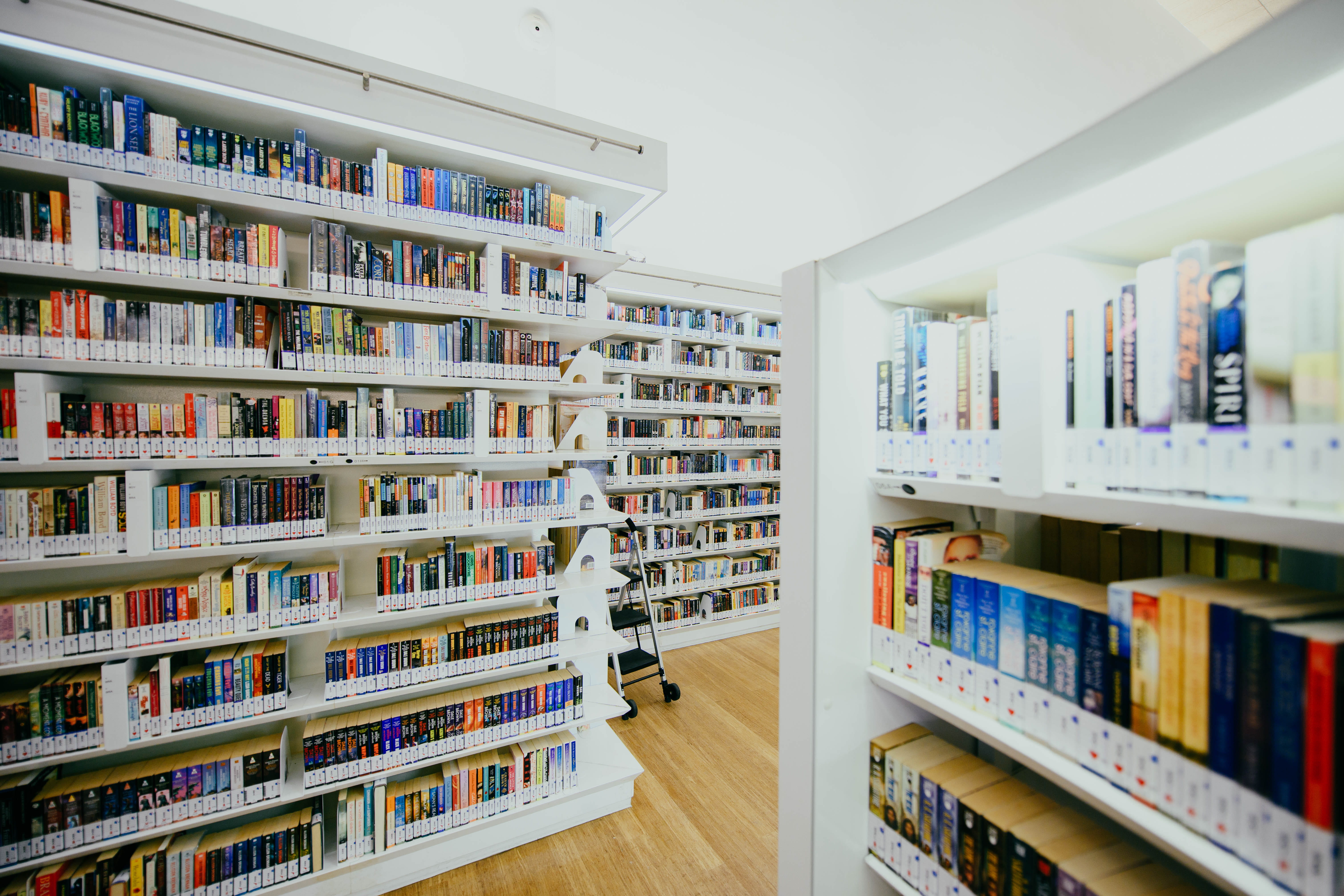 inside library, shop, shelf, pharmacy, indoors, book, room, furniture