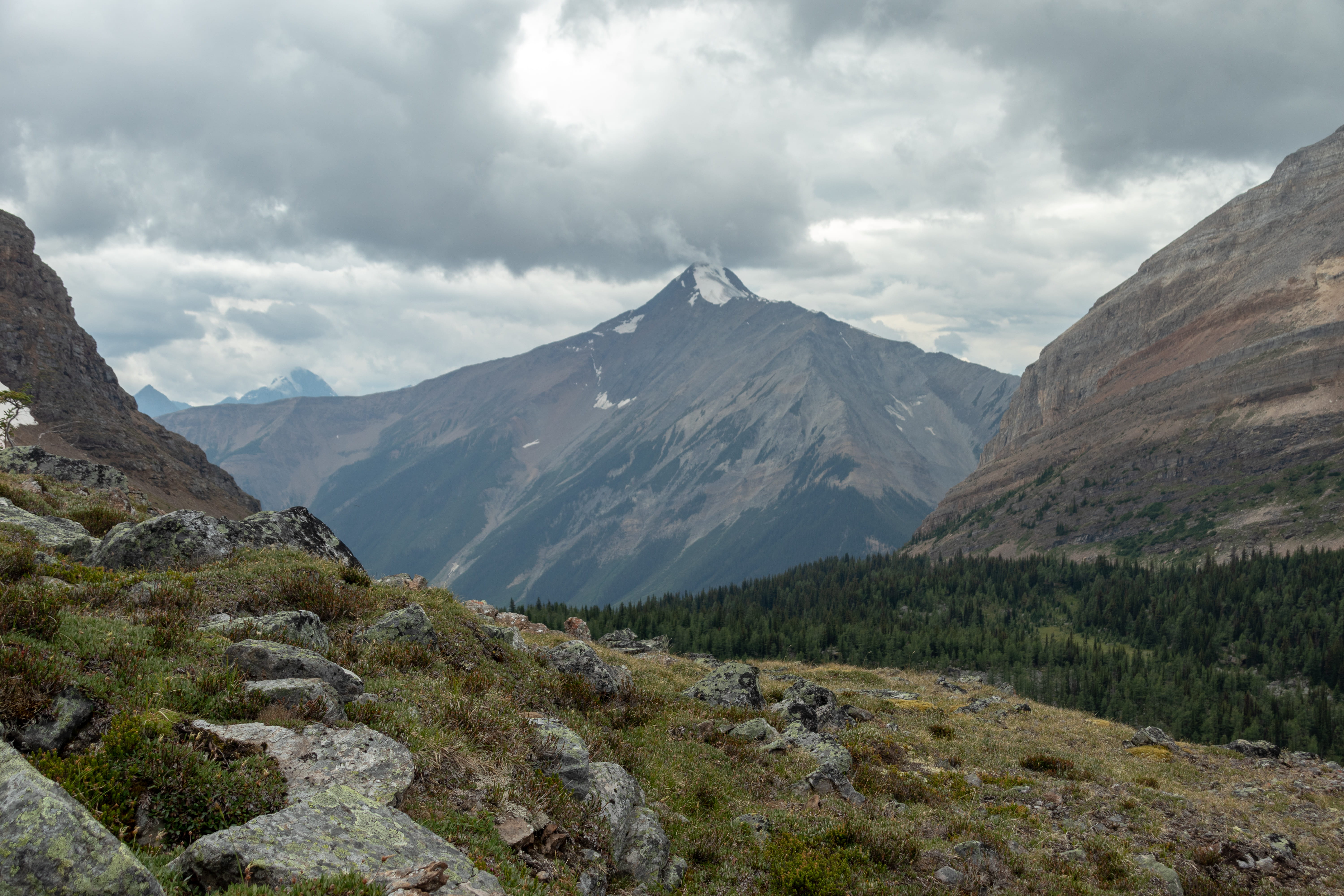 canada, mount schaffer, mountain, tree, hiking, grass, forest