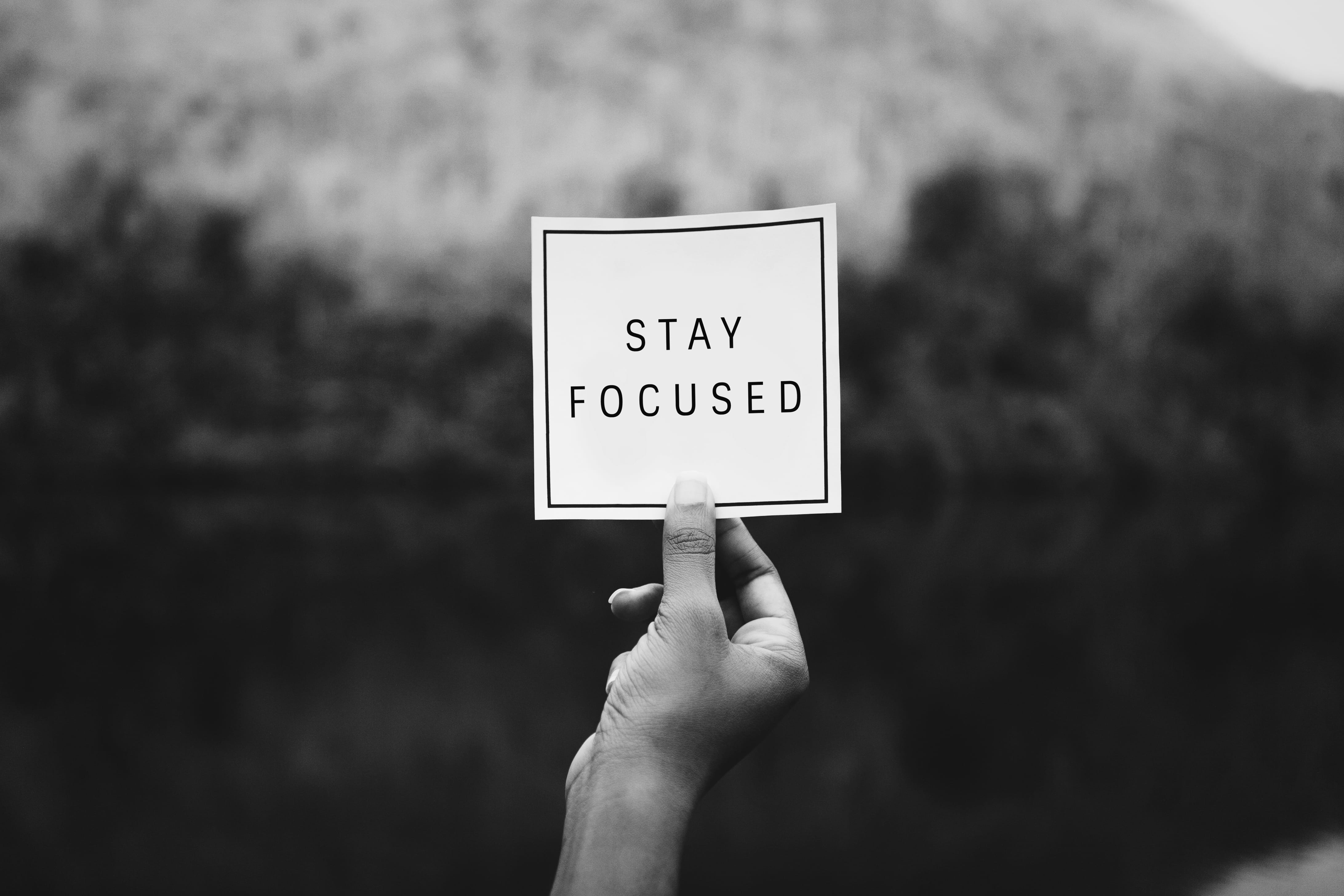 Person Holding Stay Focuseds Paper, black and white, black-and-white