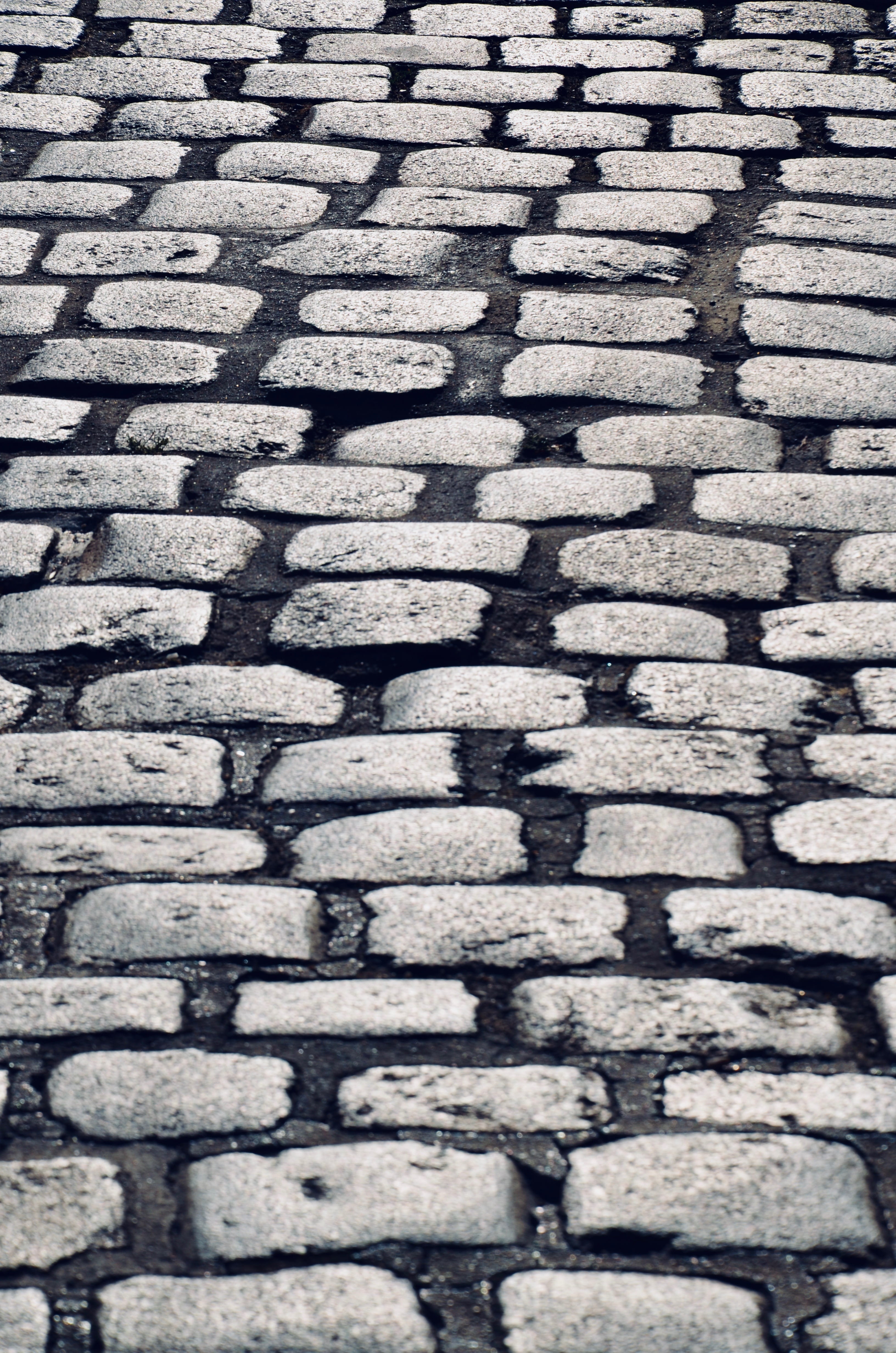 street, pattern, texture, background, city, stone, road, trail