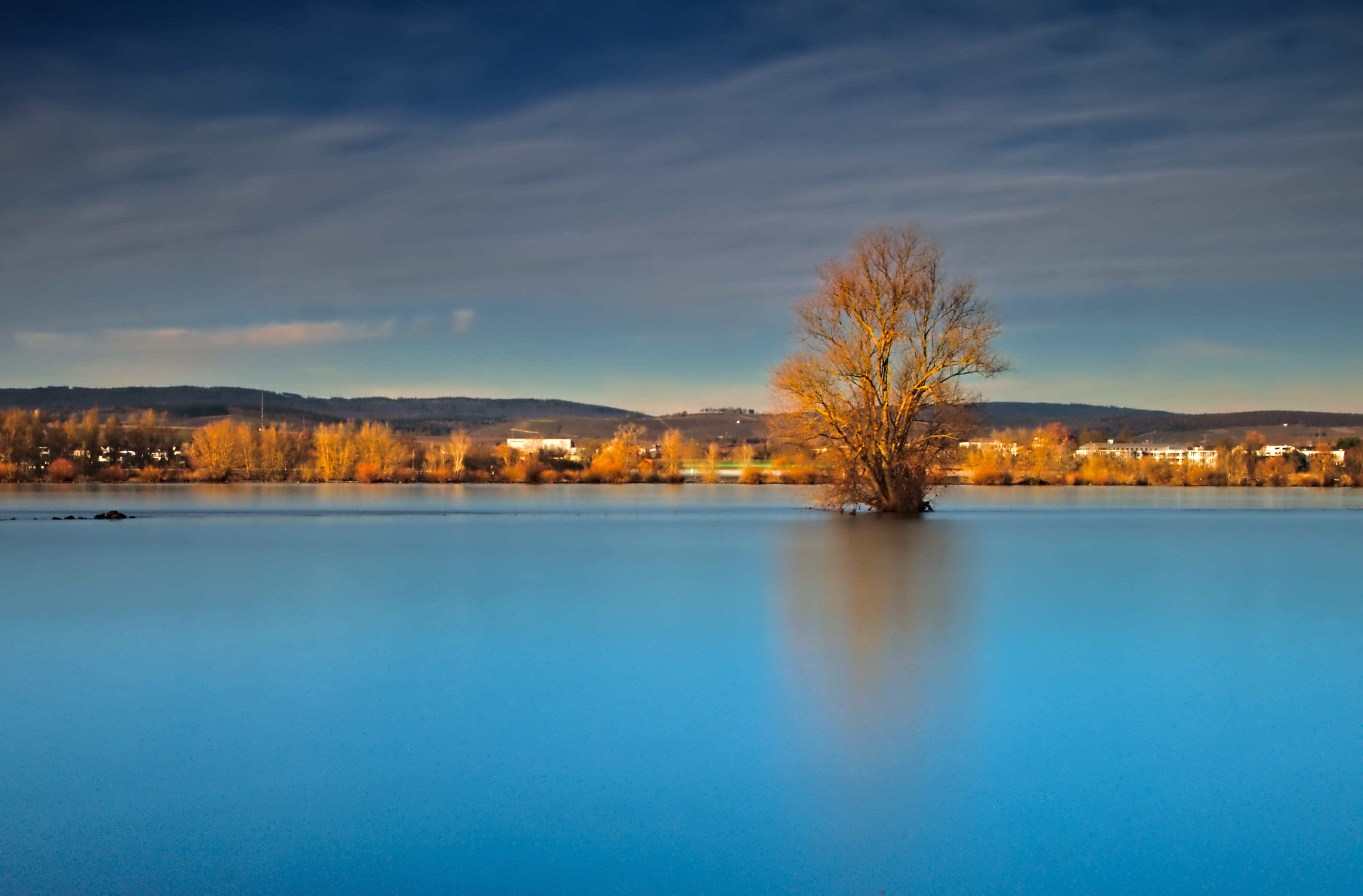 tree, river, long exposure, nature, landscape, scenic, reflection