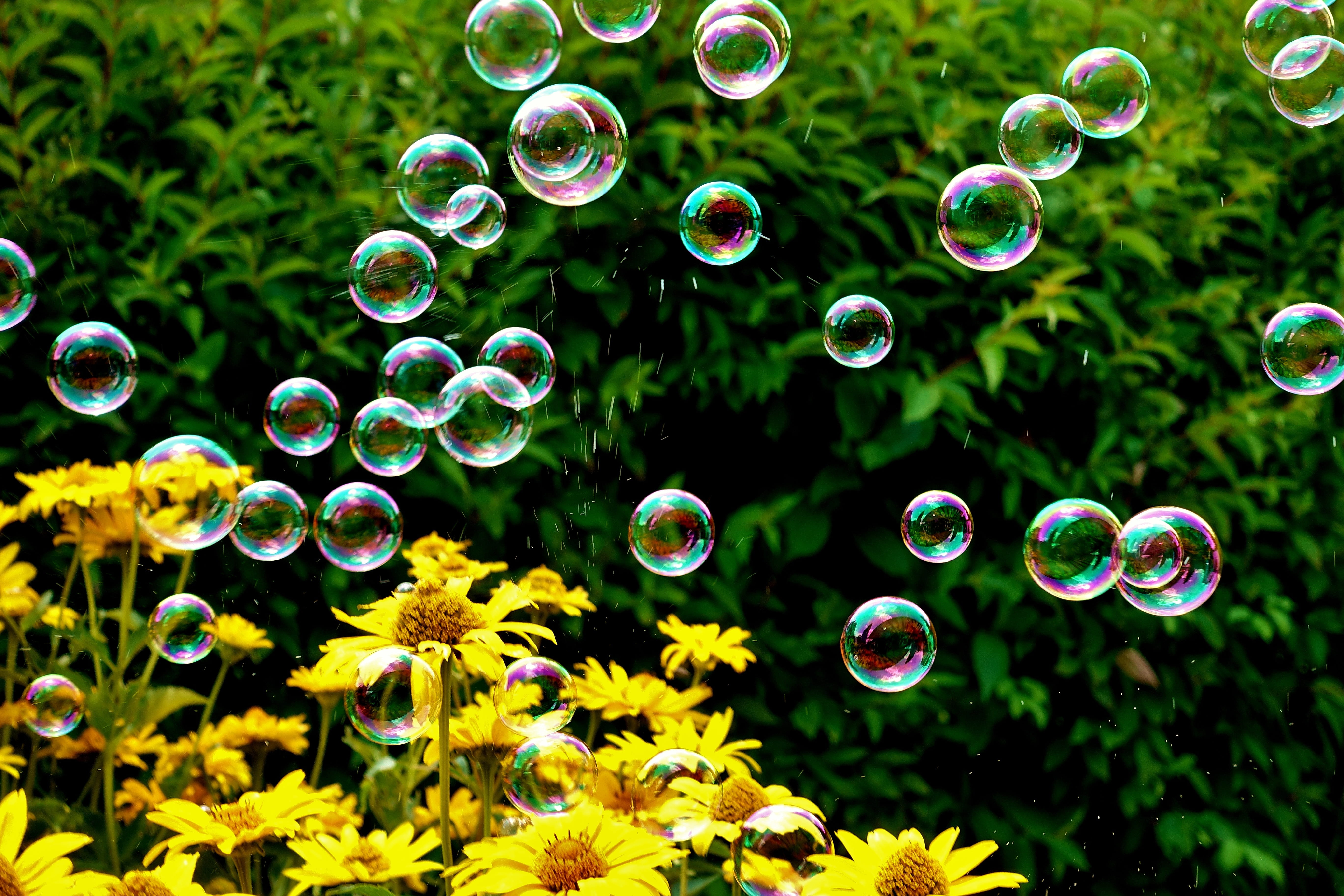 soap bubbles, colorful, summer, float, slightly, ease, make soap bubbles