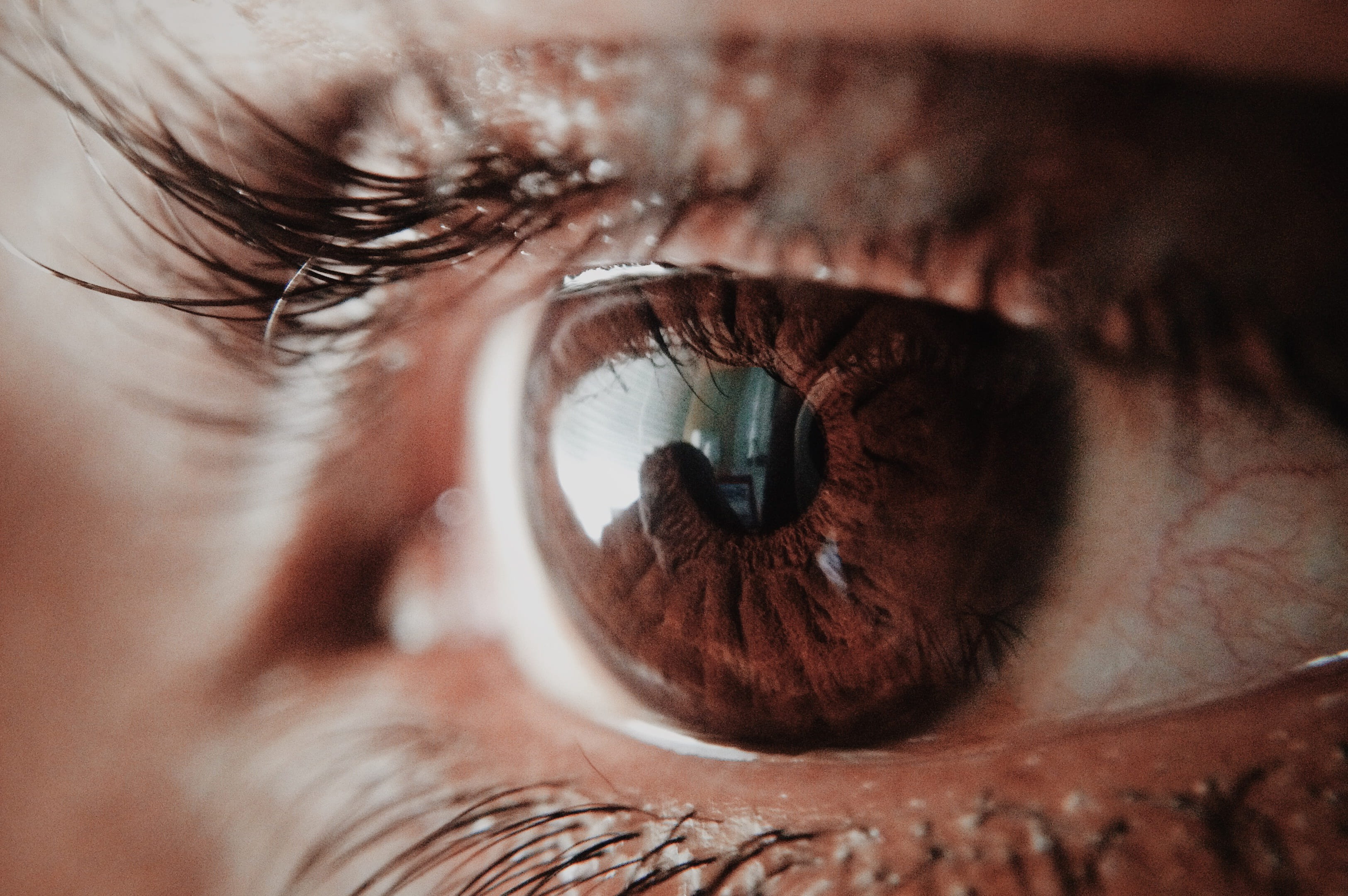 Brown Human Eye, adult, close-up, eyeball, eyebrow, eyelash, eyelashes