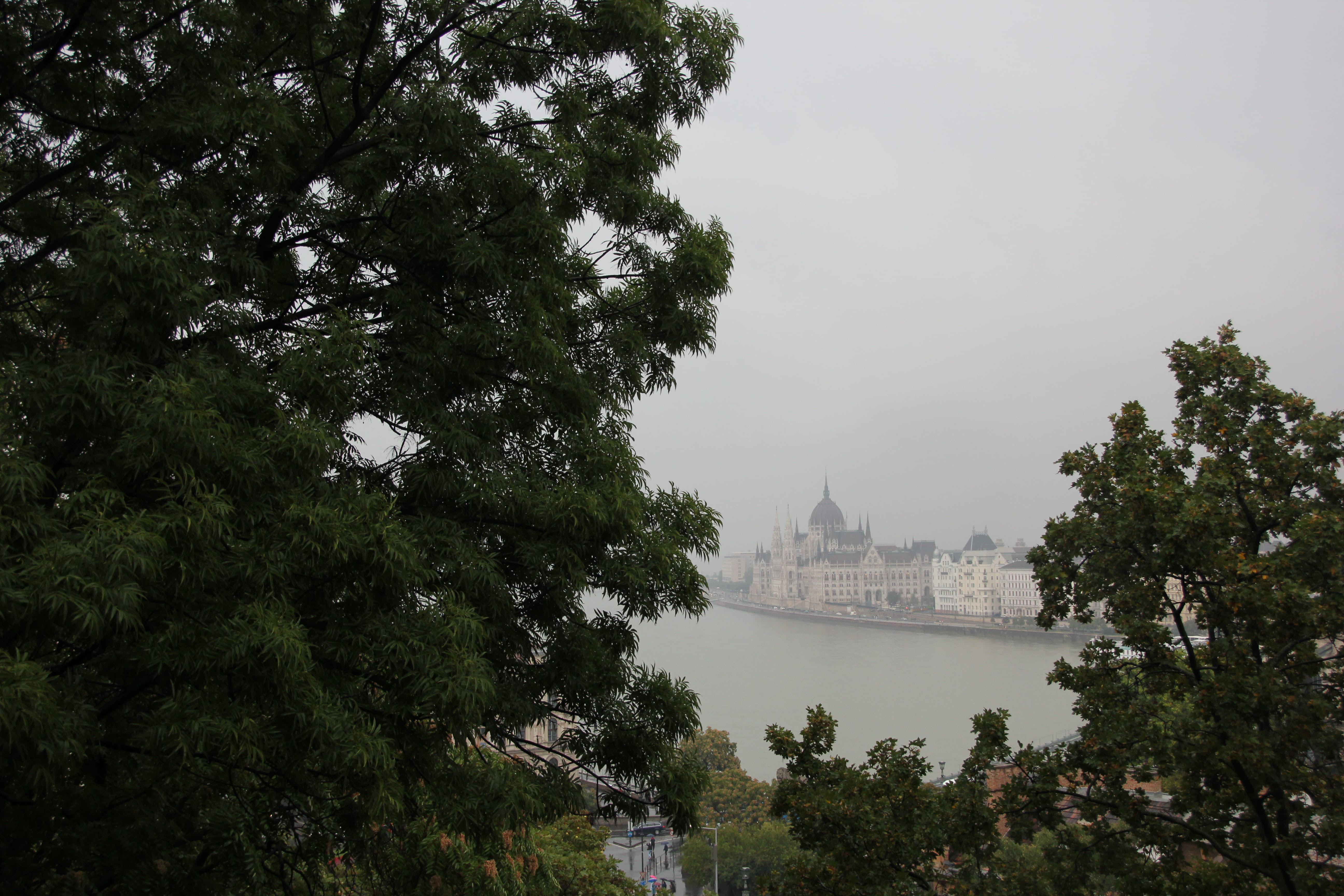 cityscape, Budapest, tree, plant, architecture, built structure