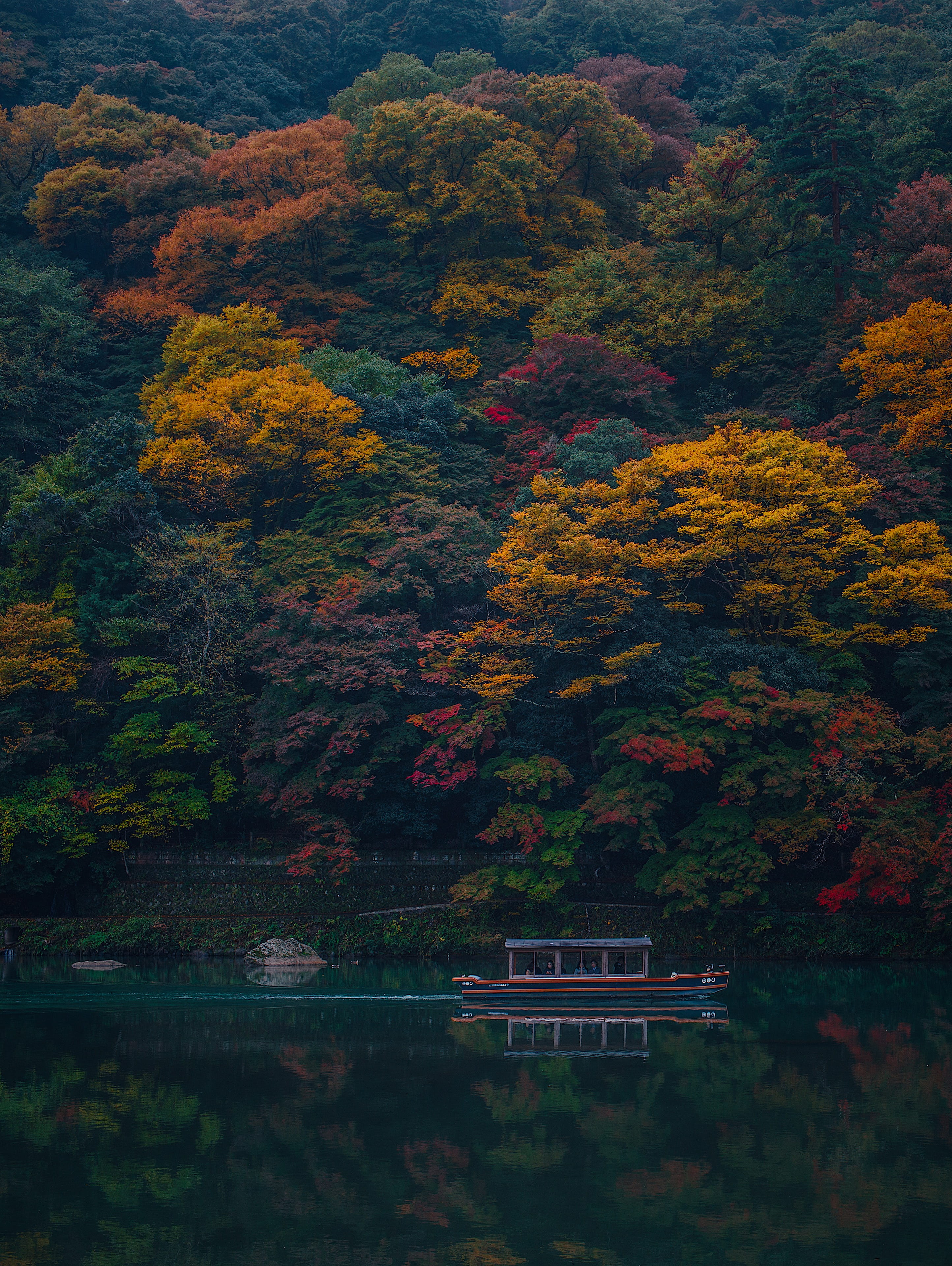 japan, kyōto-shi, arashiyama station, trees, lake, forest
