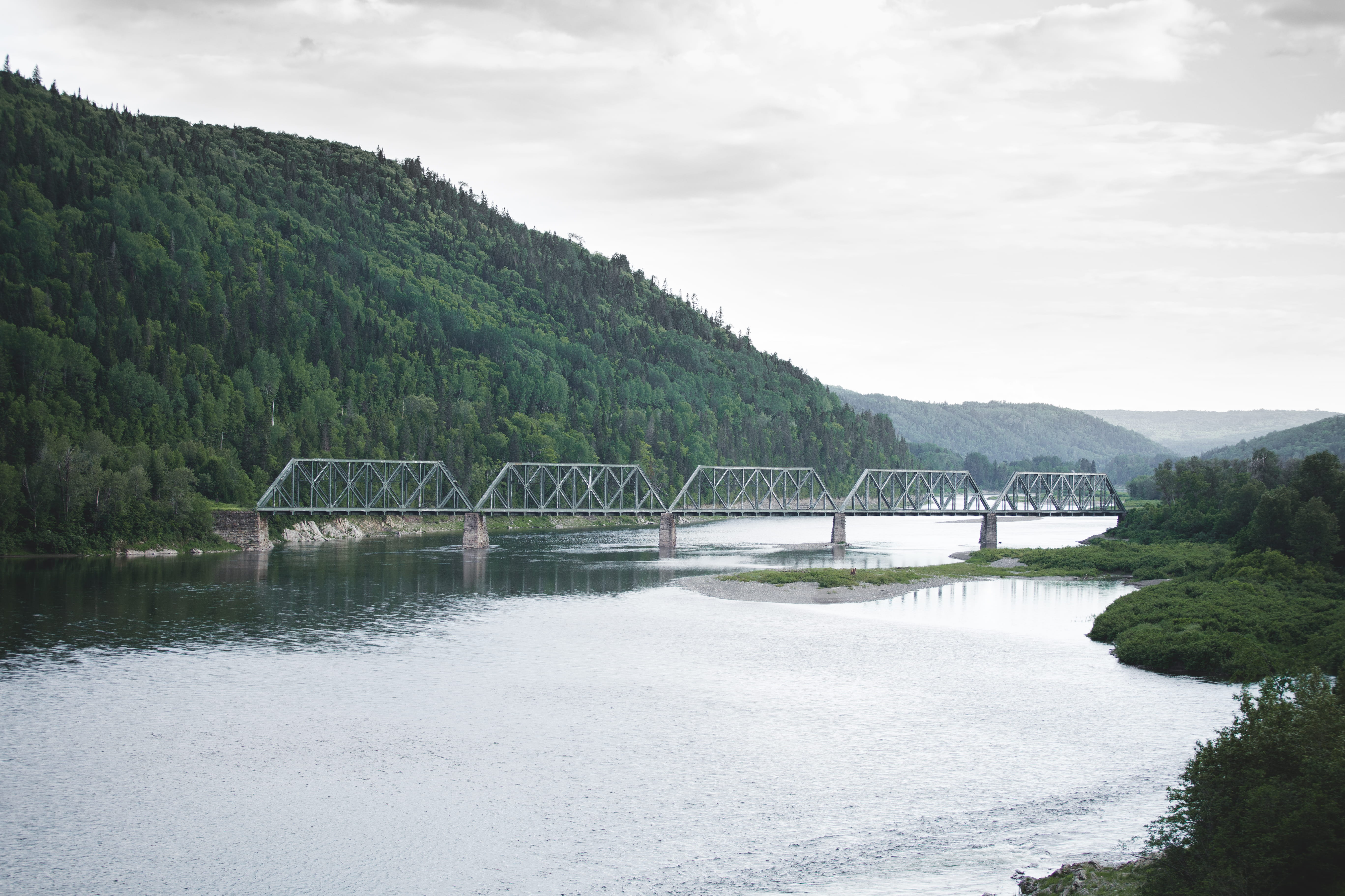 canada, trees, forest, bridge, green, nature, rain, clouds