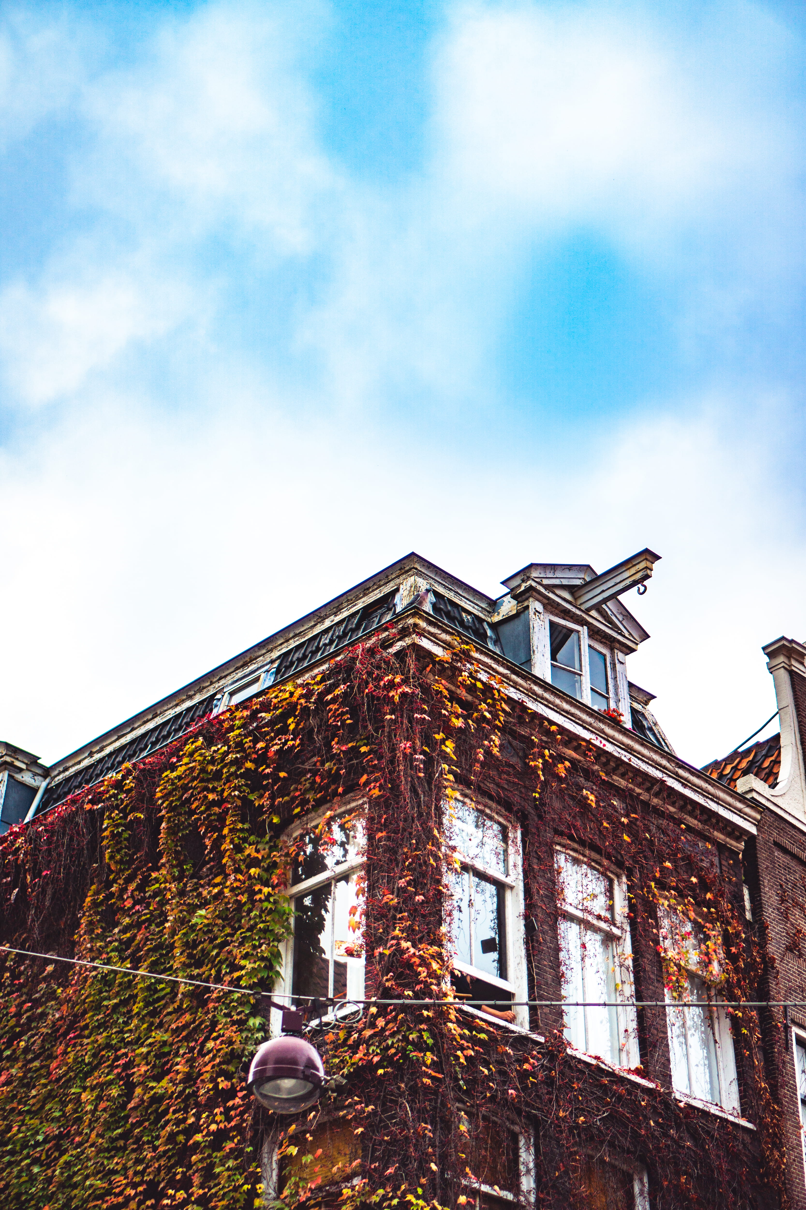 netherlands, amsterdam, architecture, building exterior, built structure