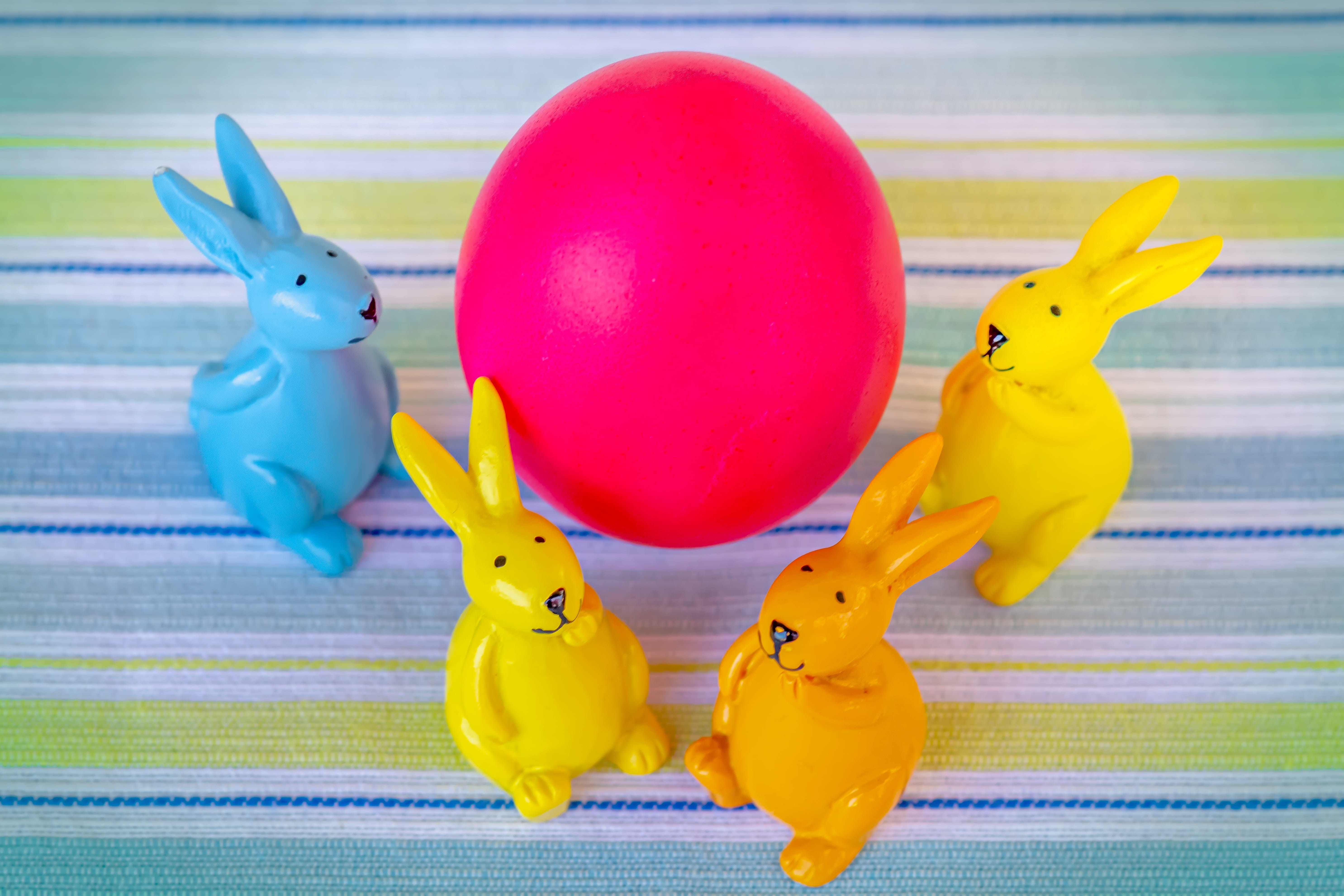 easter, easter bunny, easter egg, hare, spring, cute, ears