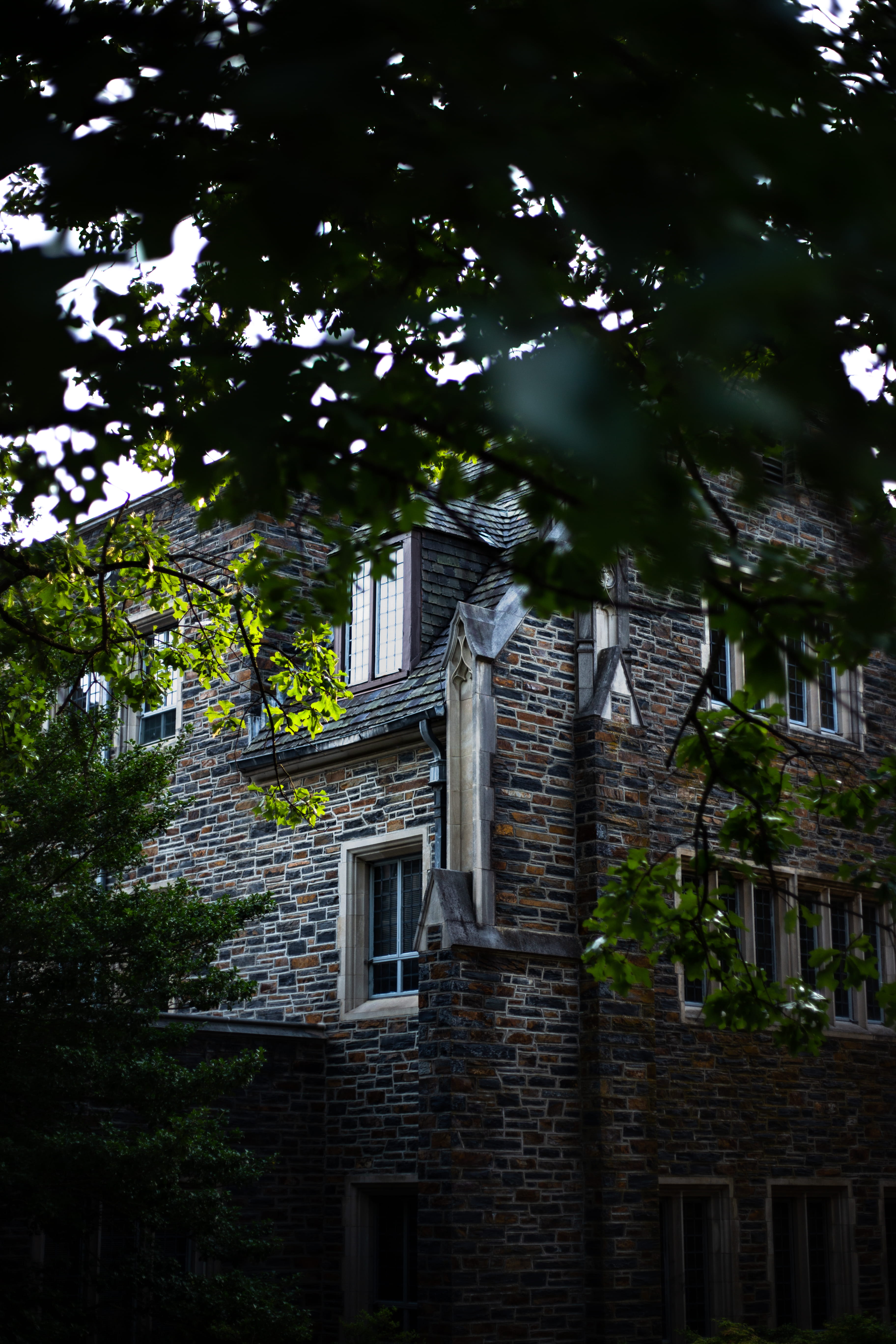 architecture, built structure, tree, building exterior, plant