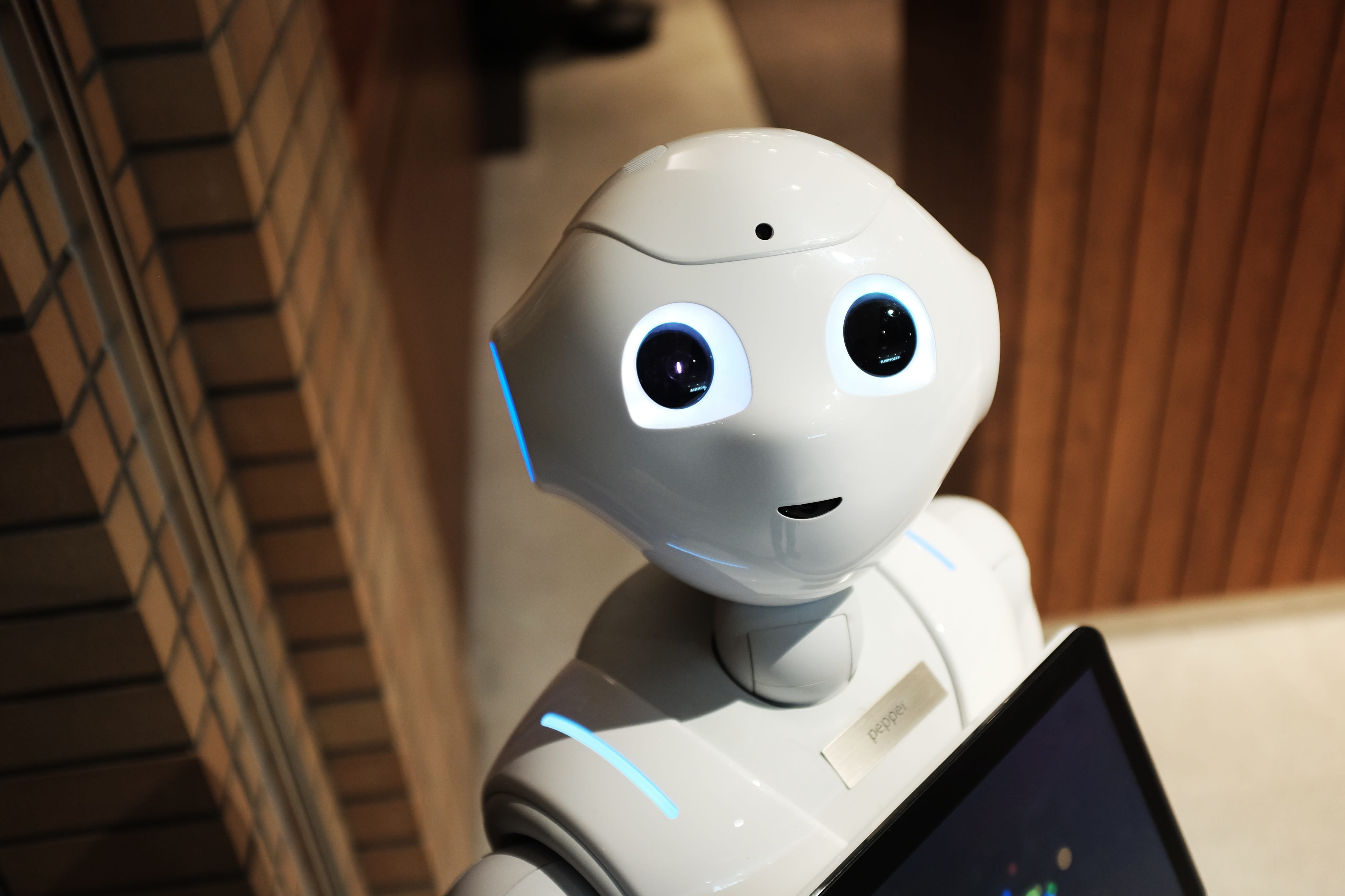 robot, technology, modern, white, indoors, human representation
