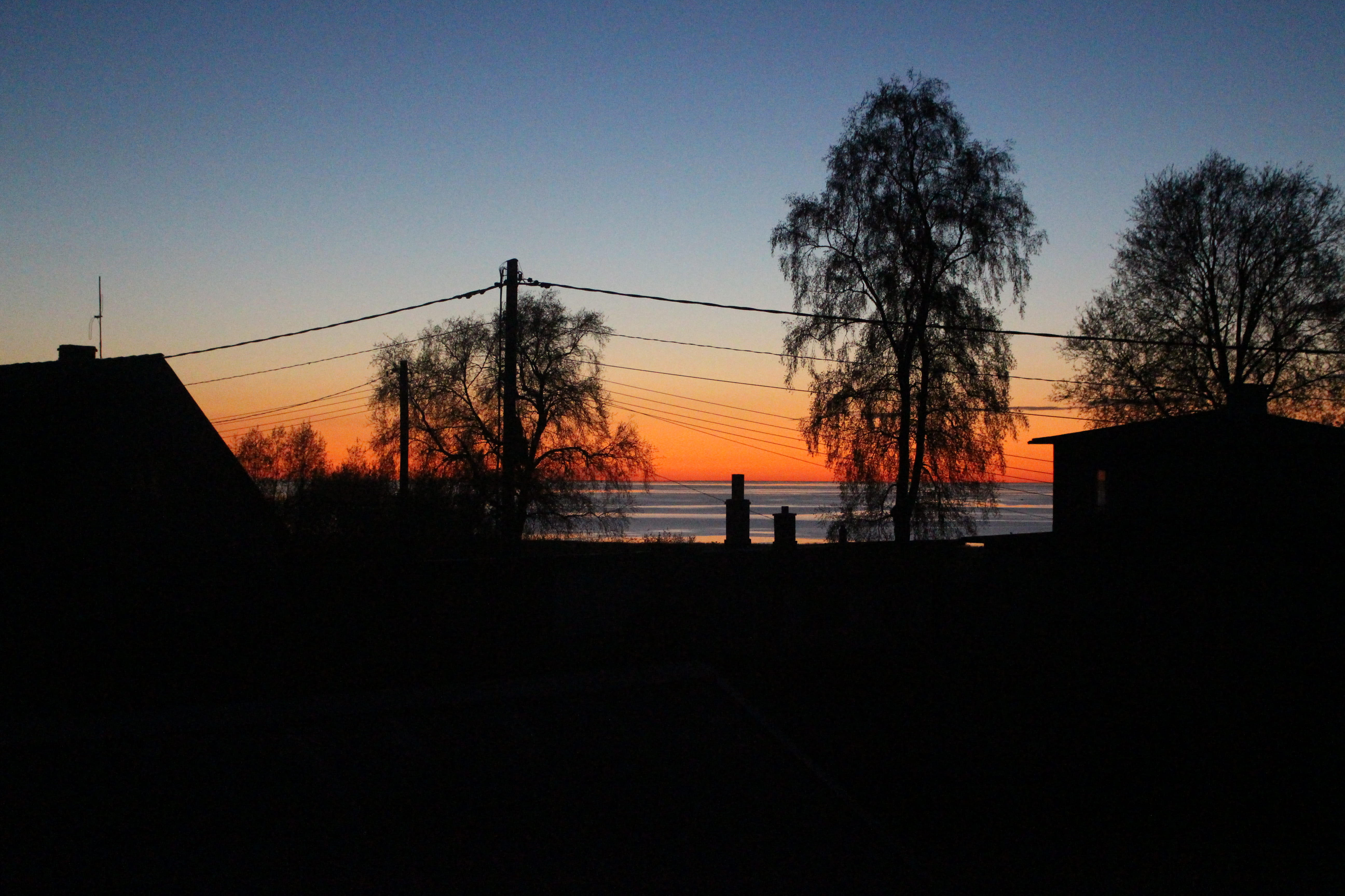 sea, sunset, trees, orange, summer, sky, silhouette, built structure