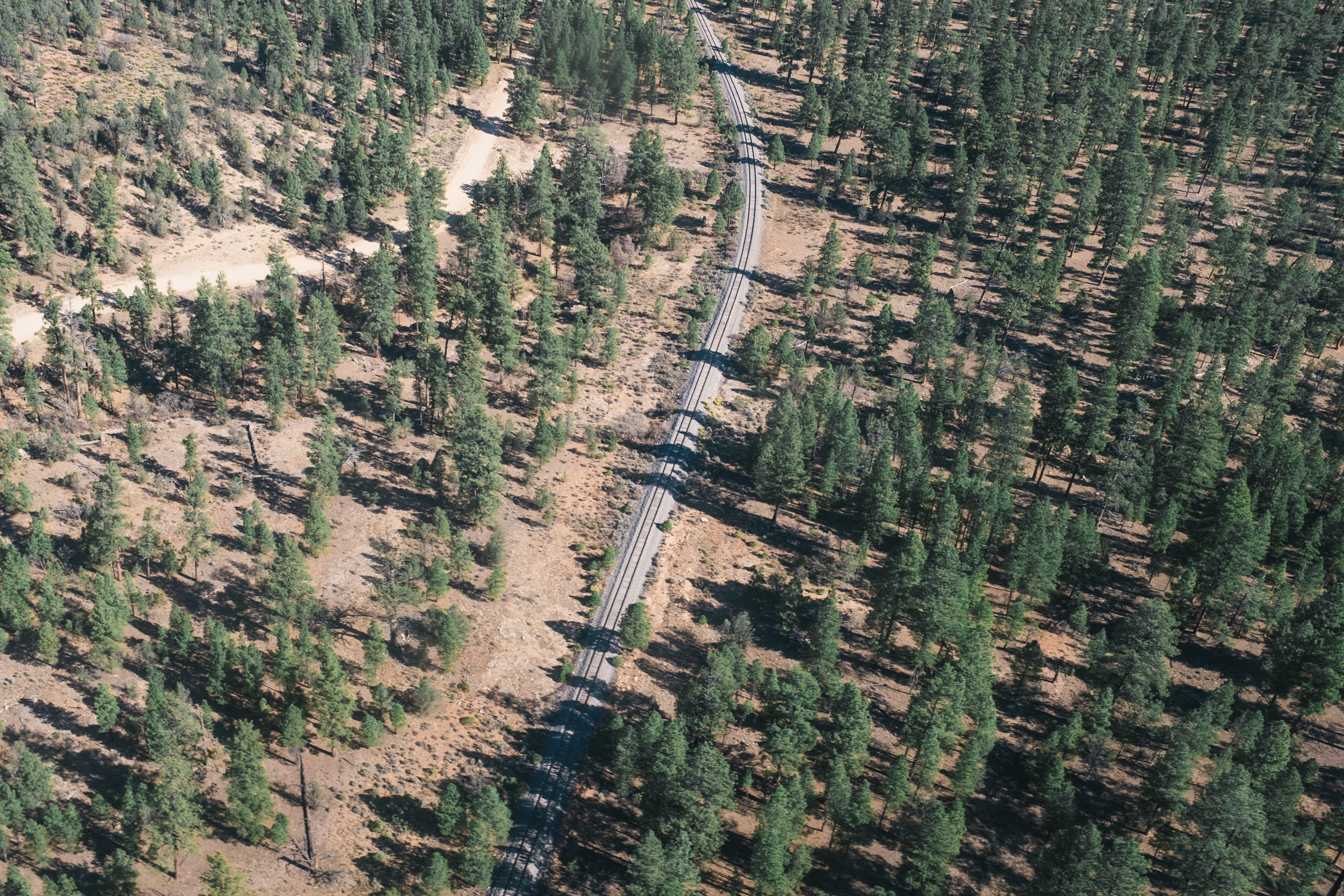train, trees, train track, landscape, environment, high angle view
