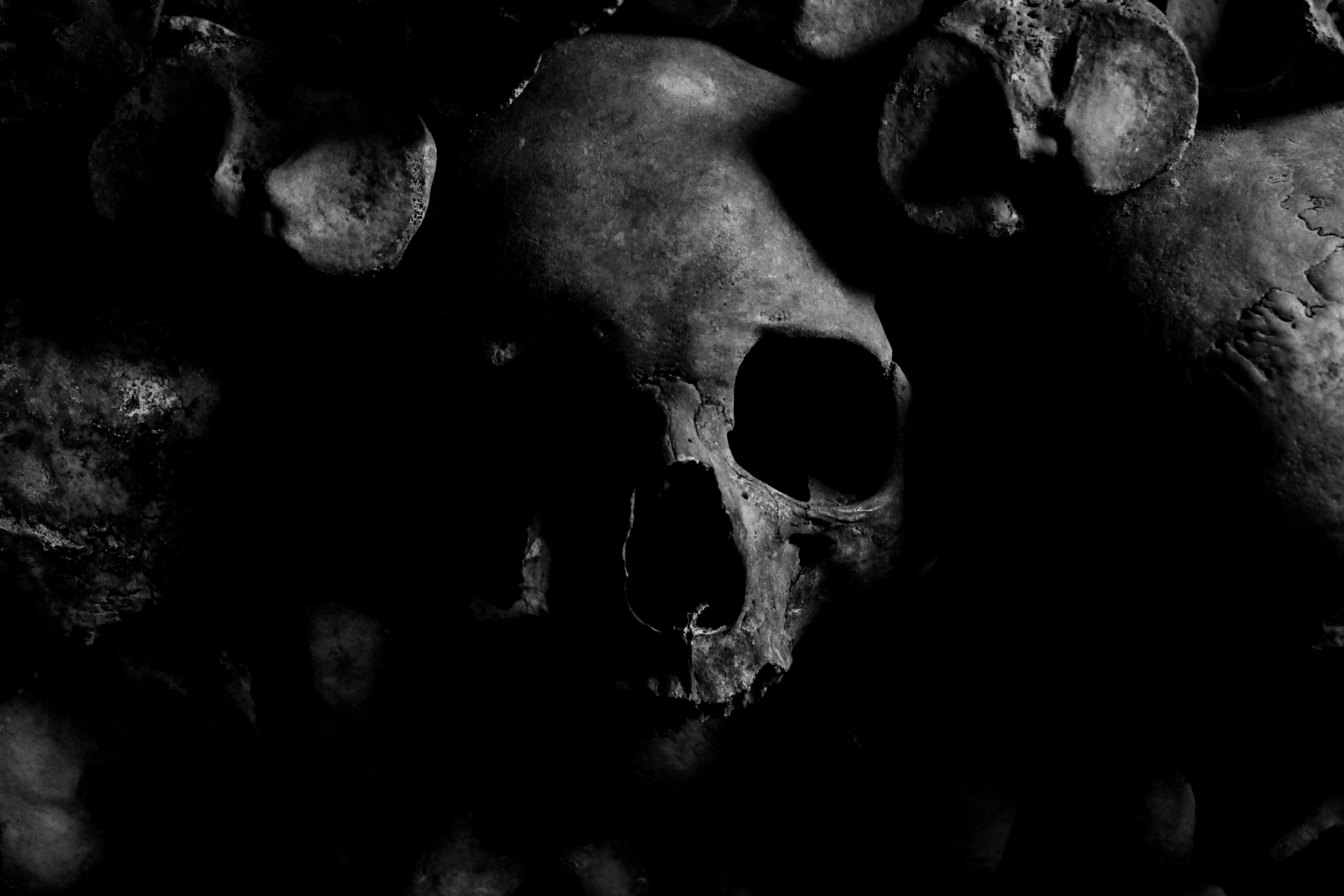 Skull, black and white, black-and-white, bones, creepy, dark