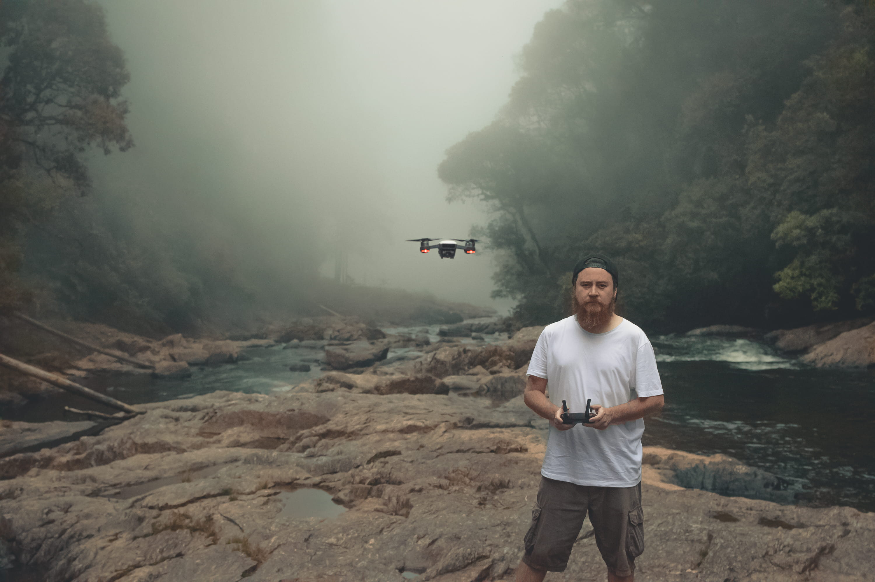 drone, trees, lake, forest, dji, djispark, serjosoza, saopaulo