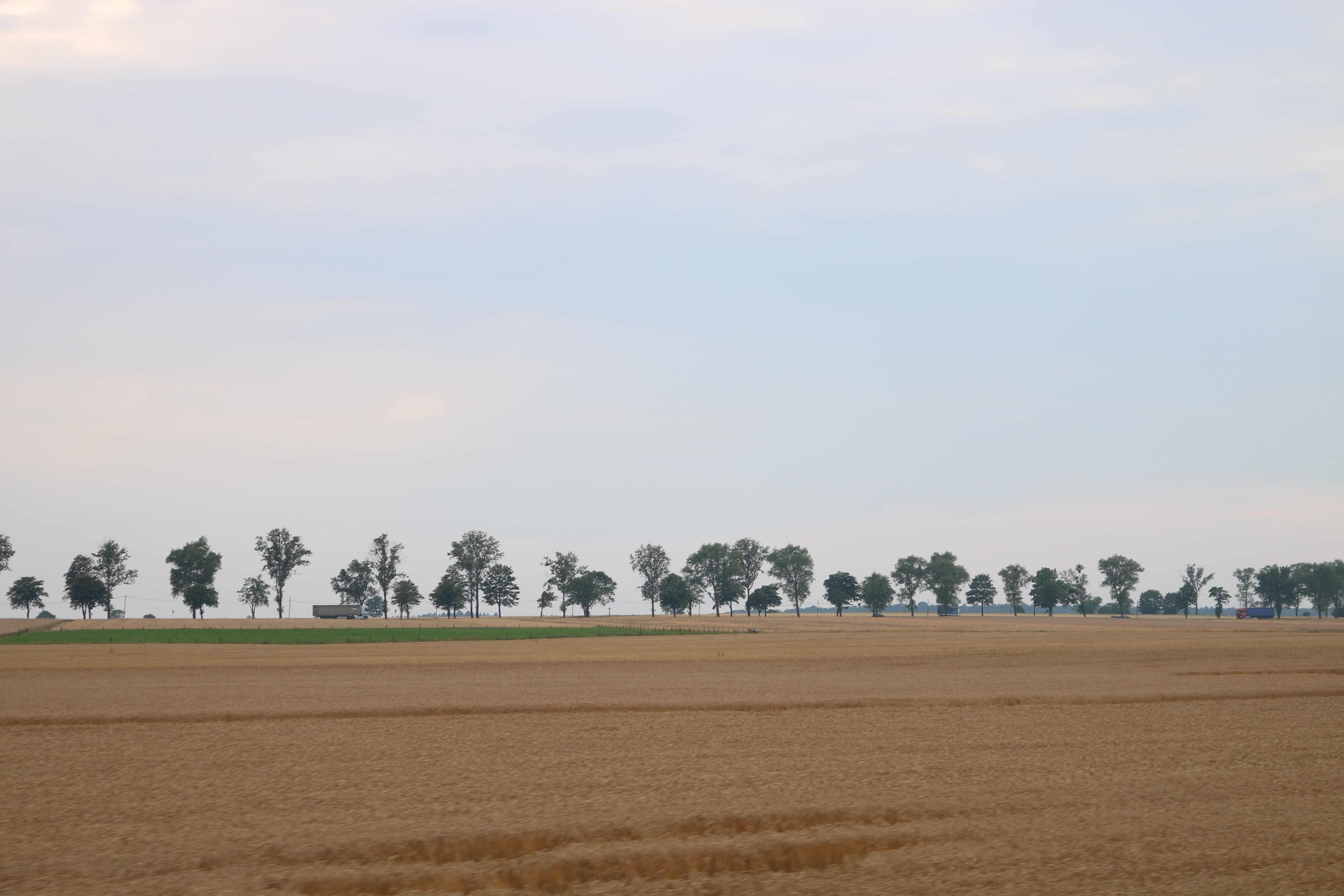flat land, trees, fields, landscape, tranquil scene, environment