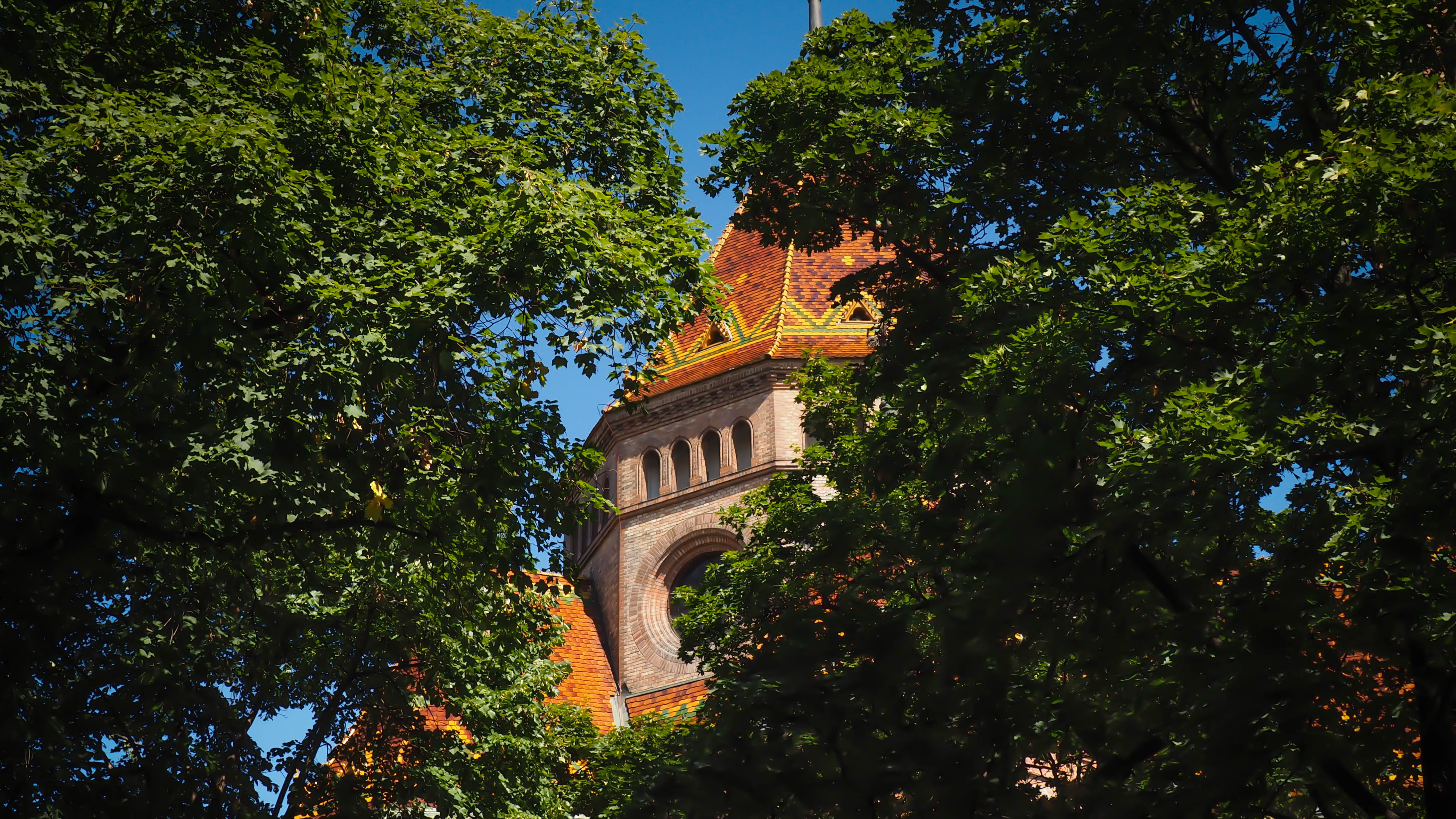 hungary, budapest, tree, plant, architecture, built structure