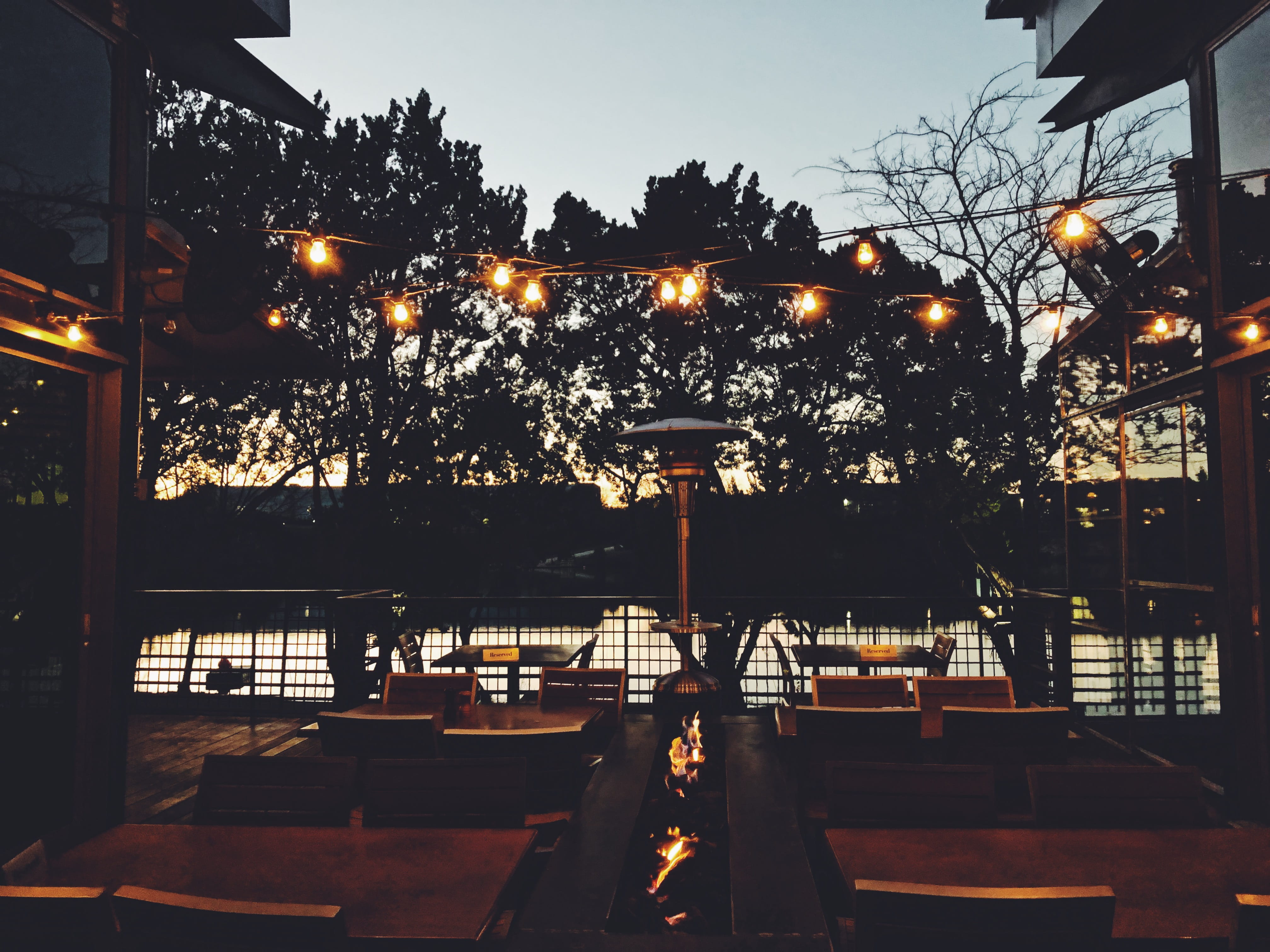 sunset, lights, romantic, illuminated, lighting equipment, tree