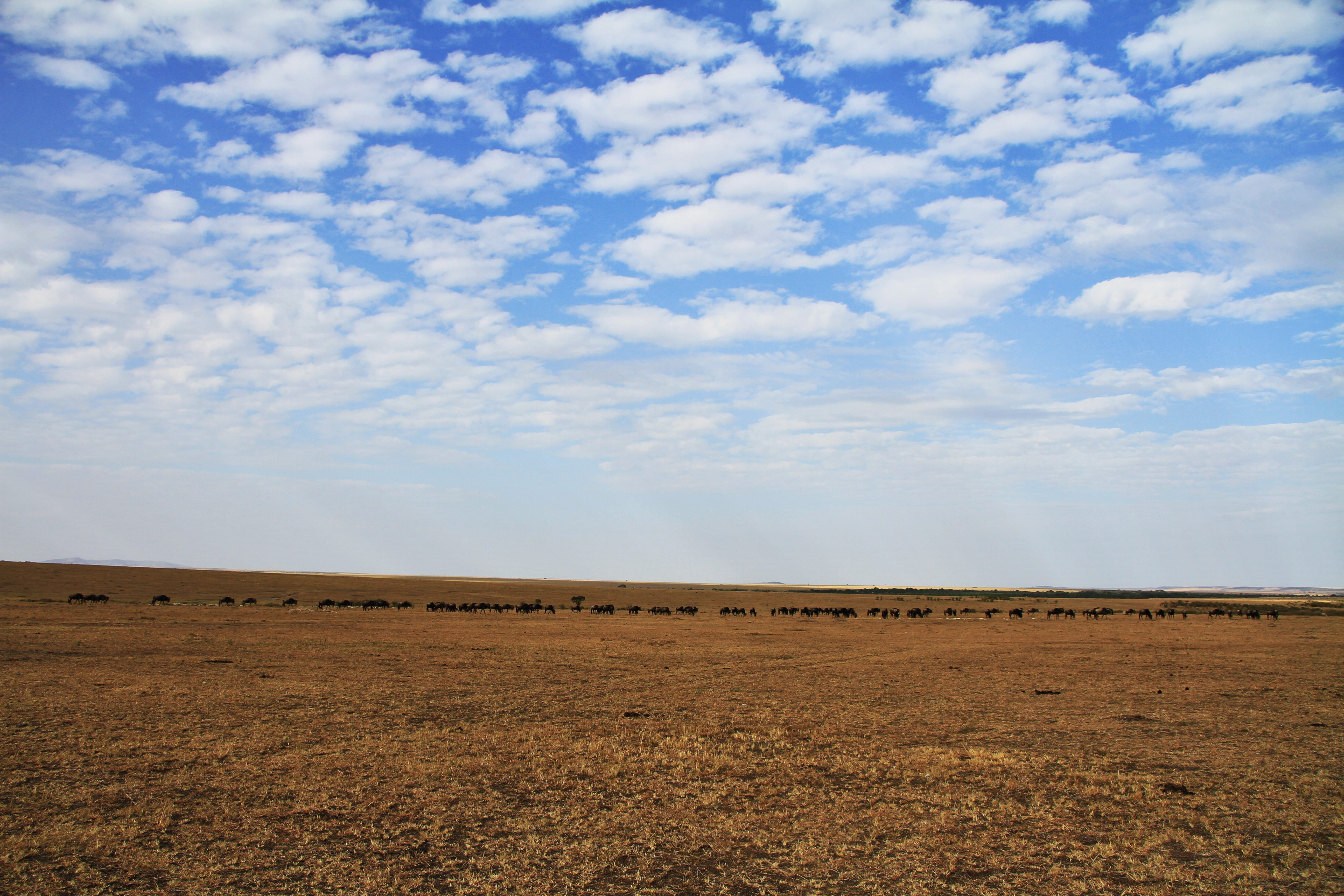 sky, cloud - sky, landscape, environment, no people, tranquil scene